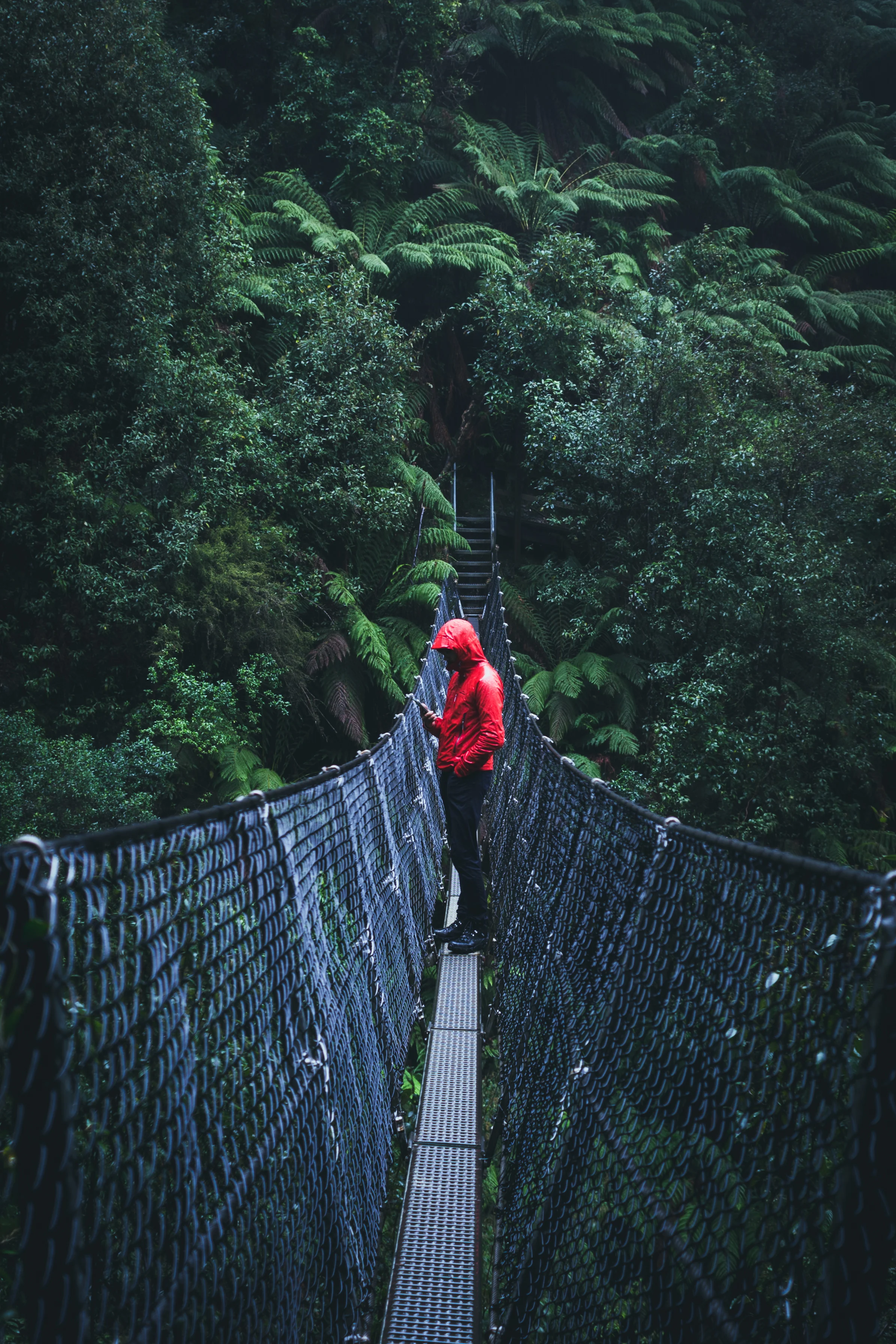 The west coast of Tasmania could be described as wild. Montezuma Falls is the waterfall, and you can reach the sight by the old railway track. The 9 km track is not the hardest, but prepare to experience the wet and wild side of Tasmania. View the giant waterfall from a swing bridge is also quite an Extraordinary experience. ( Be aware that only three people are allowed on the bridge at each time.)
