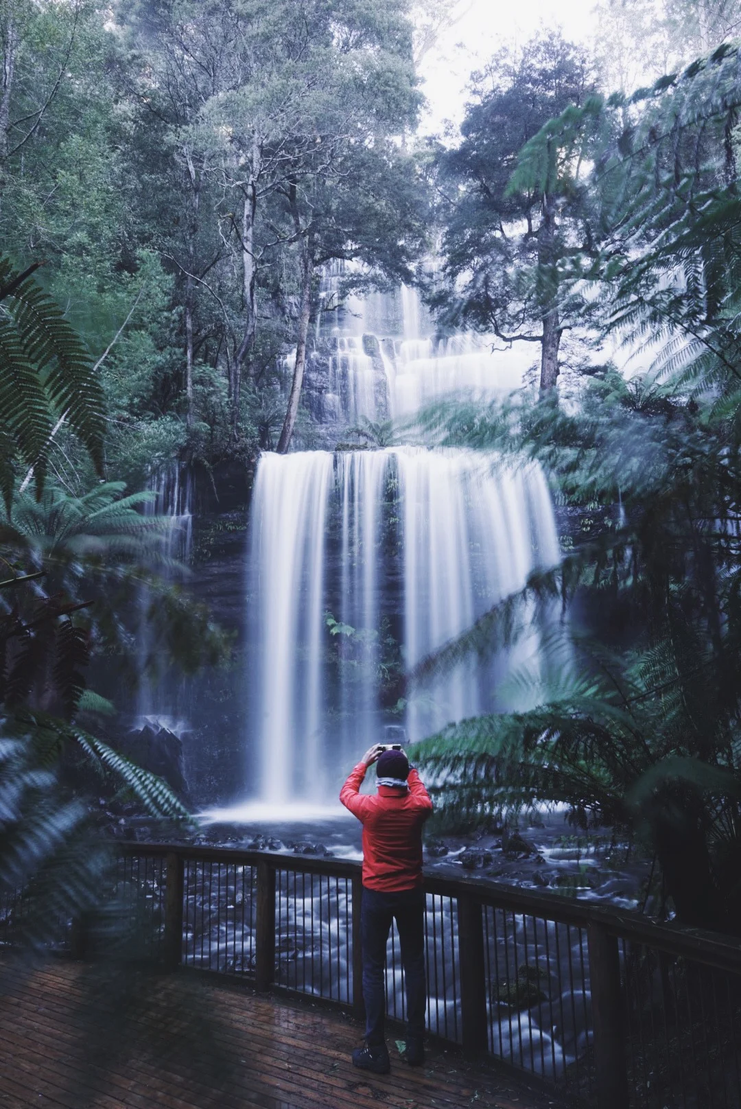 It is located in Mt. Field, which is only one hour drive away from Hobart via New Norfolk. Winter is definitely a good season for chasing waterfalls in Tasmania since the significant amount of rainfall. The easiest track that can access to the waterfall is approximately 1 hour round trip. However, you always need to ensure your are fully equipped with weatherproofed gears including hiking boots and coats. The weather is guaranteed to be wet.