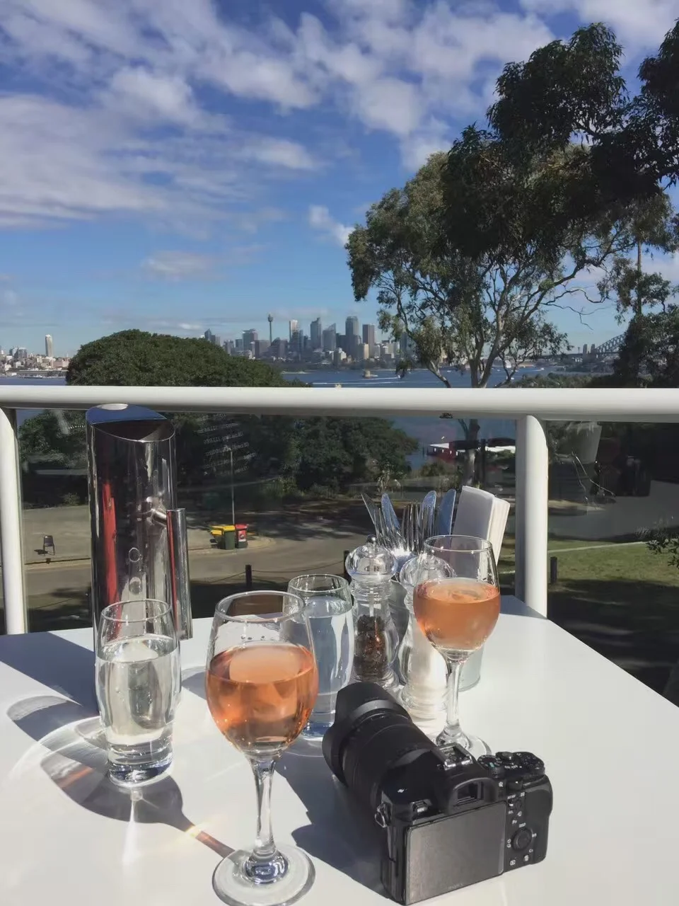 The View Restaurant is open Thursday - Sunday from 11am - 3 pm for lunch, refreshments and Lavazza espresso coffee. During NSW school holidays The View will be open 7 days a week. I highly recommend it if you ever visit the zoo, and want to have a rest after carrying your kids around to see the giraffes. 