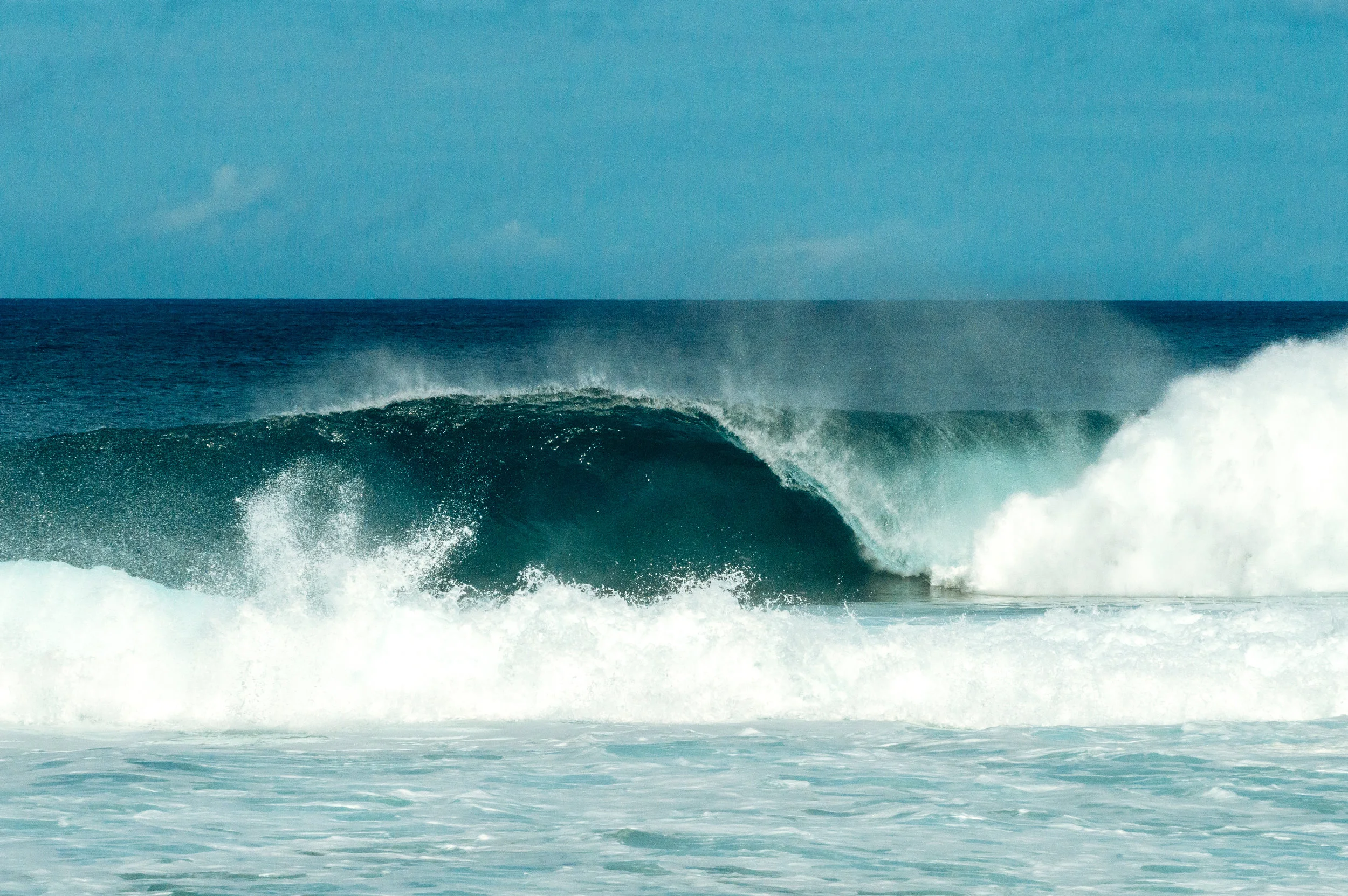 DSC_0086.jpg