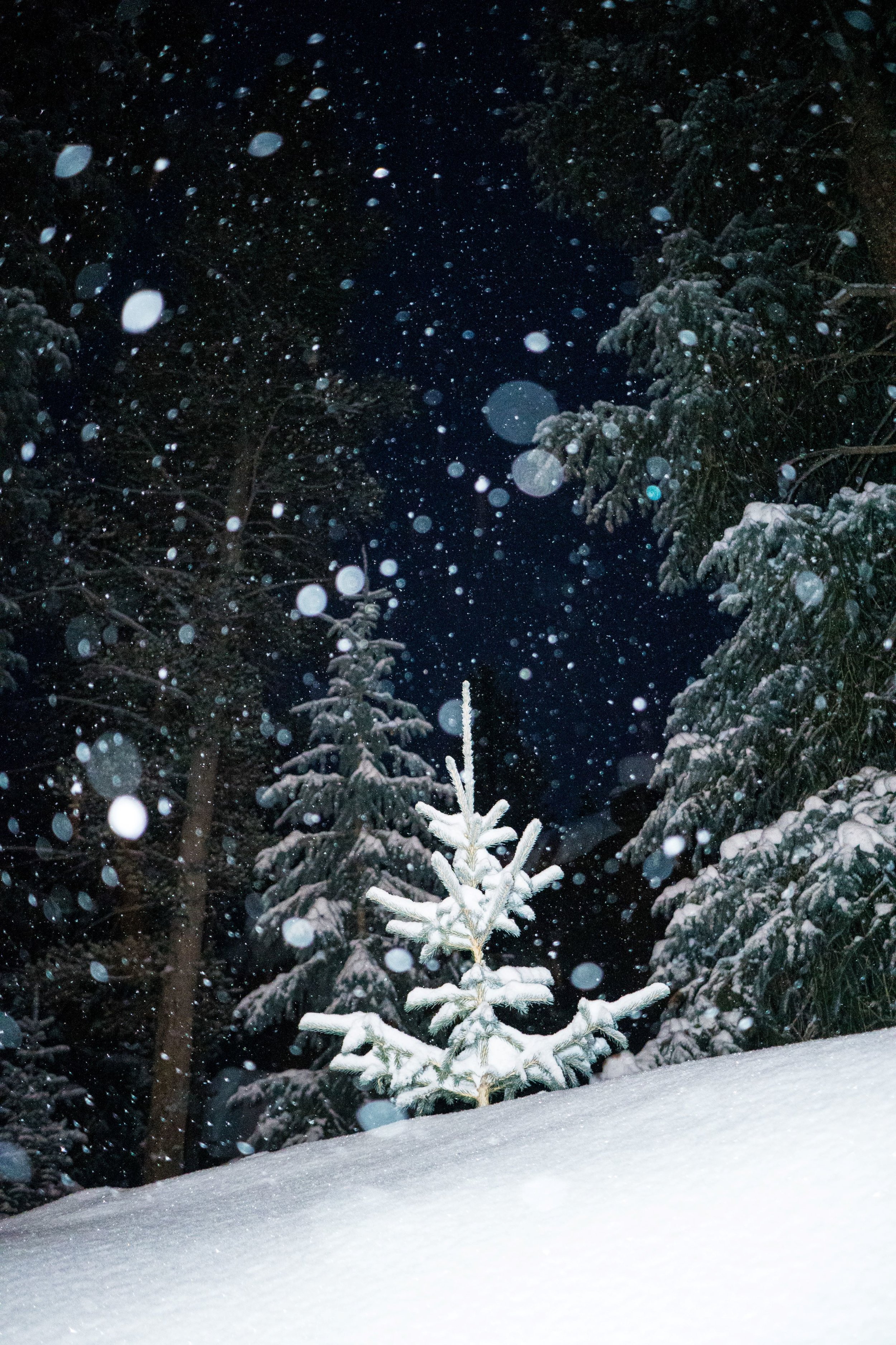 2019_Colorado-1 (2).JPG