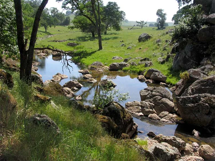 Deer Creek Hills - Nav-X Challenge Series