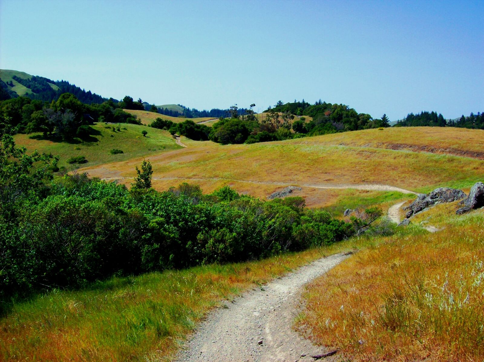 Tamarancho - Nav-X Challenge Series