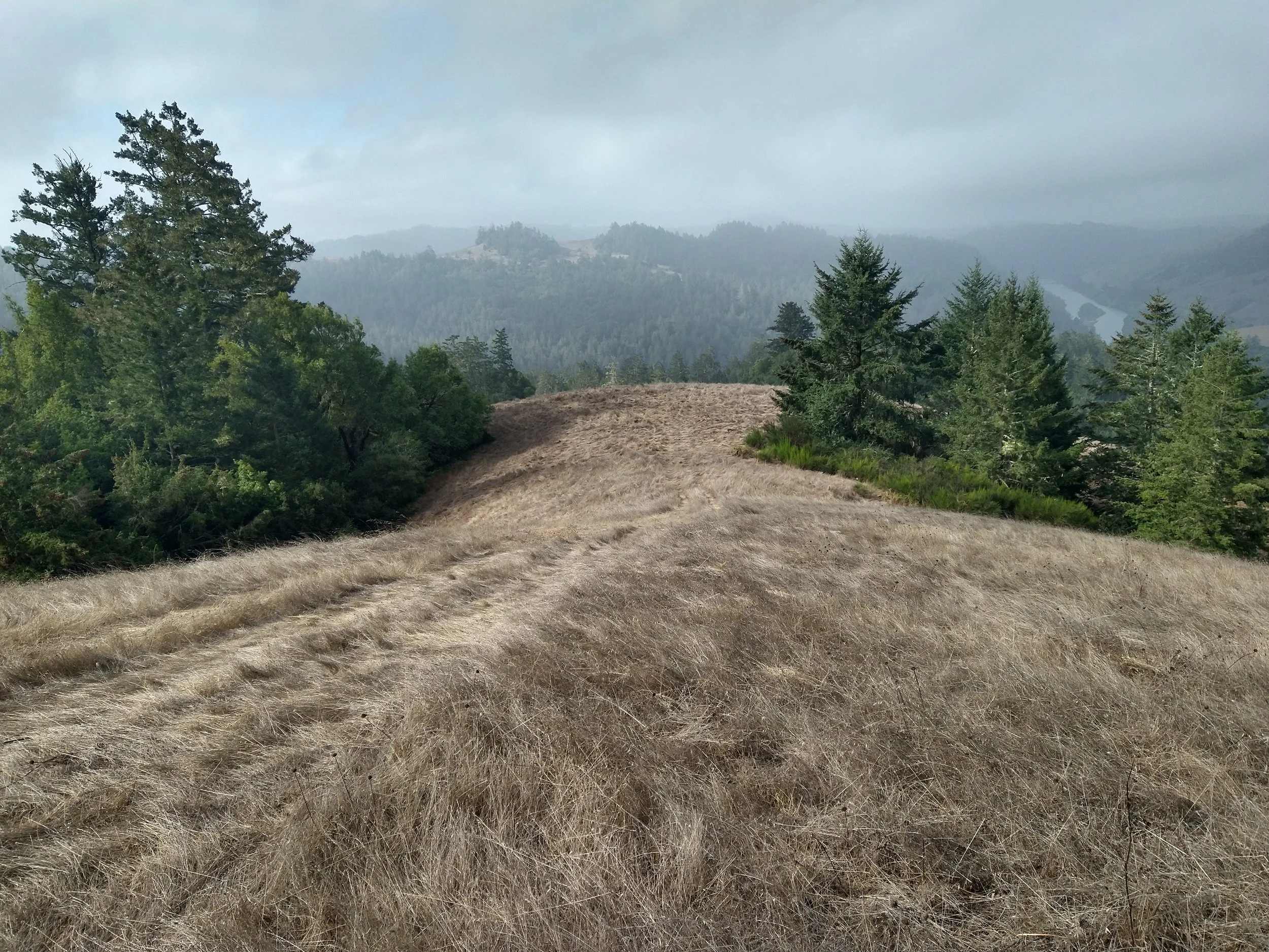 Monte Rio Redwoods - 2026 Nav-X GPS Map Trek #6