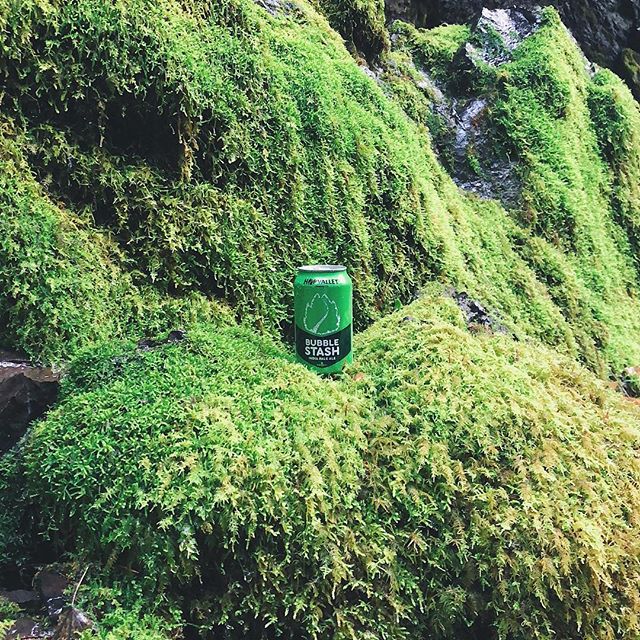 I&rsquo;m not sure how I found a job that would combine my love for creating, hiking with craft beer, and writing dank puns, but the universe finessed it for me and here I am. 💚🍻 Cheers to 2018, and my first can, Bubble Stash!
&bull;
&bull;
&bull;

