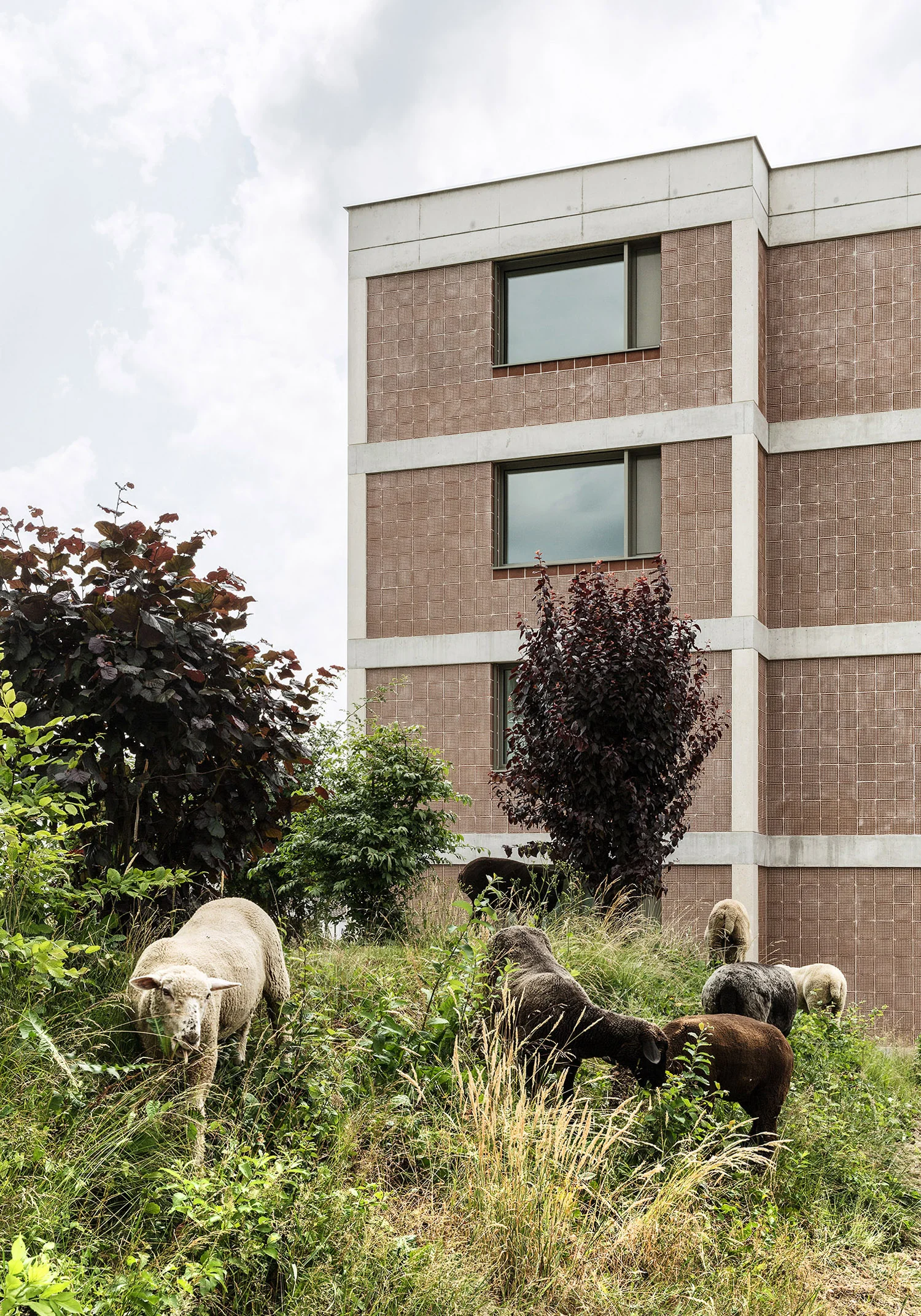 Beat_Buehler_Portfolio_1048.jpg