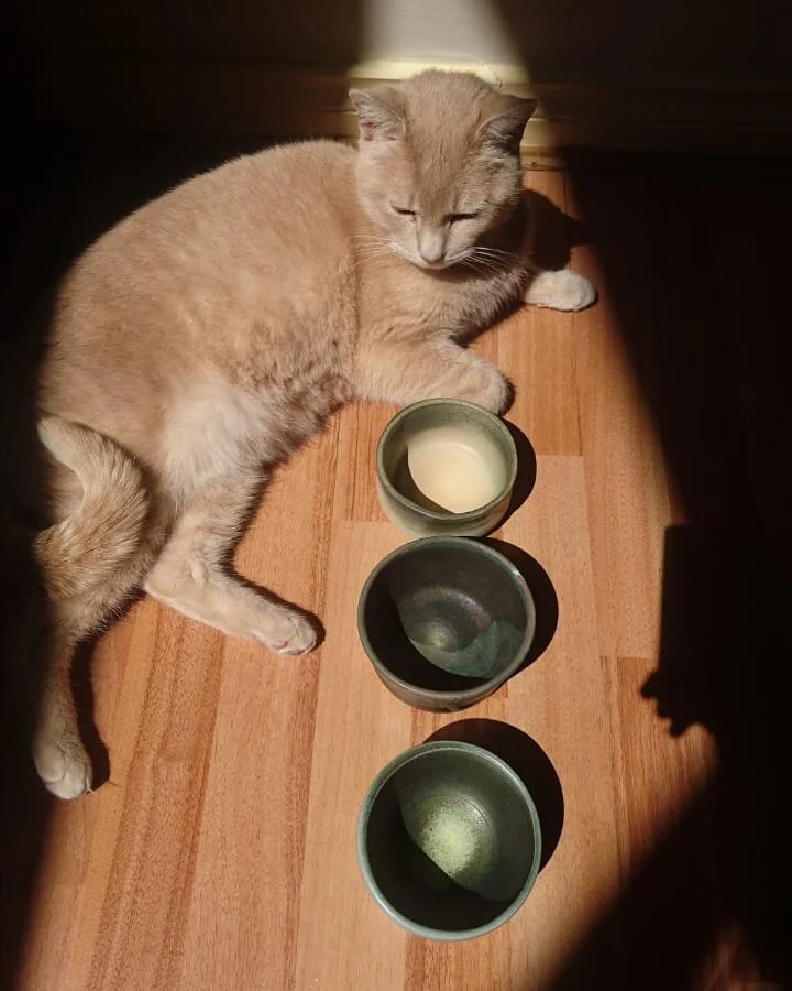 rice bowls 1.jpg