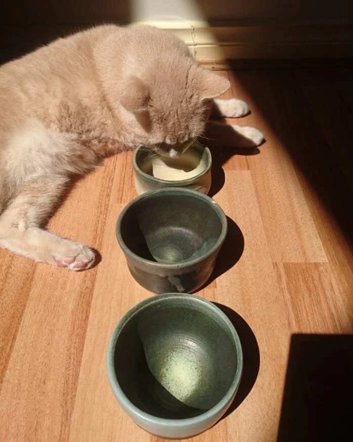 rice bowls 2.jpg
