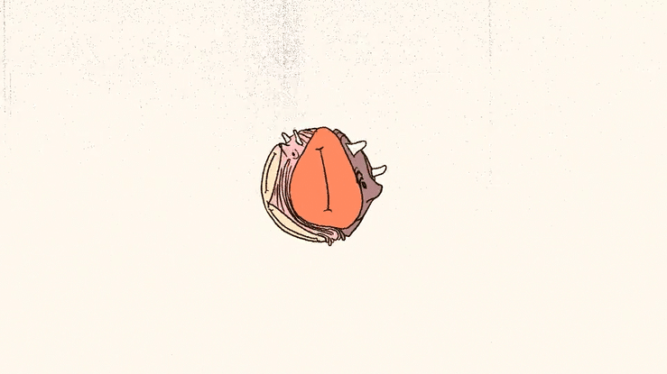 Ból Estudio Reel 2022-high.gif