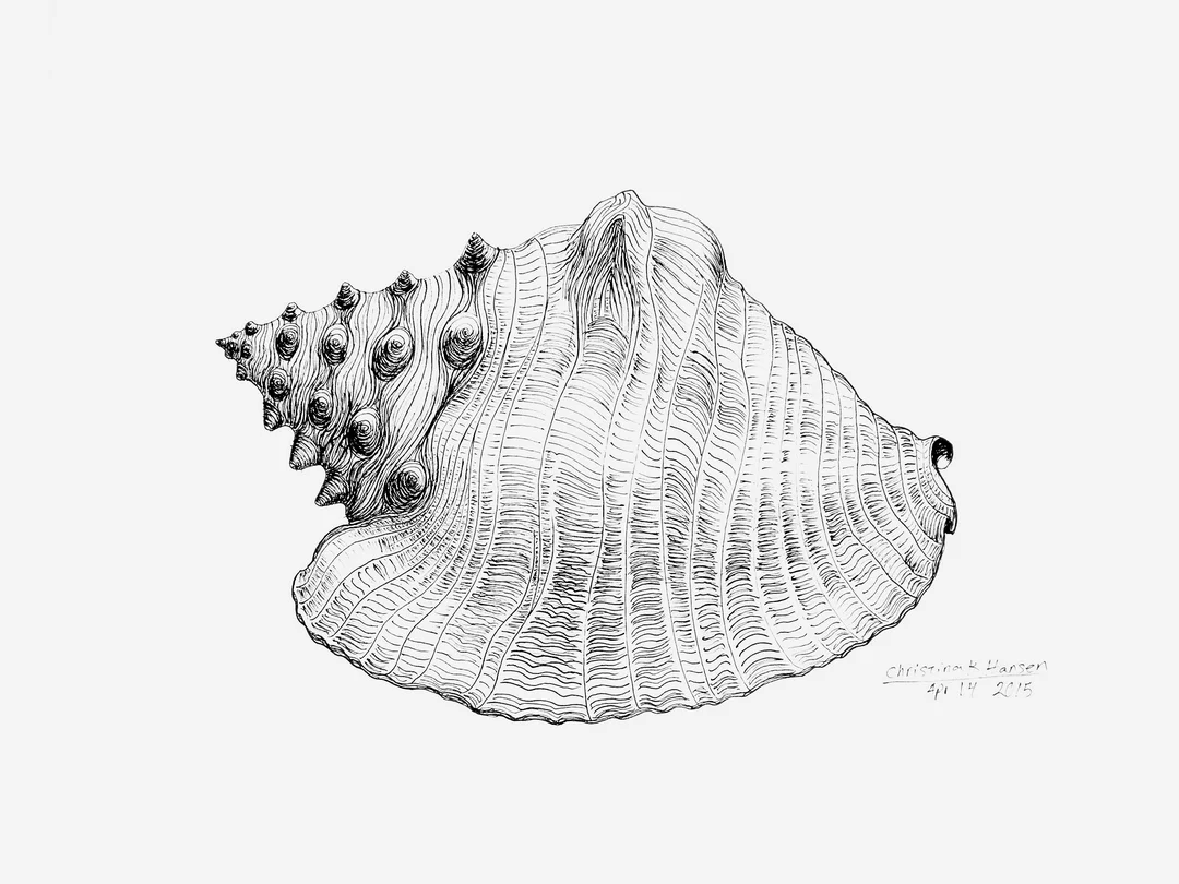 Hear the Sea