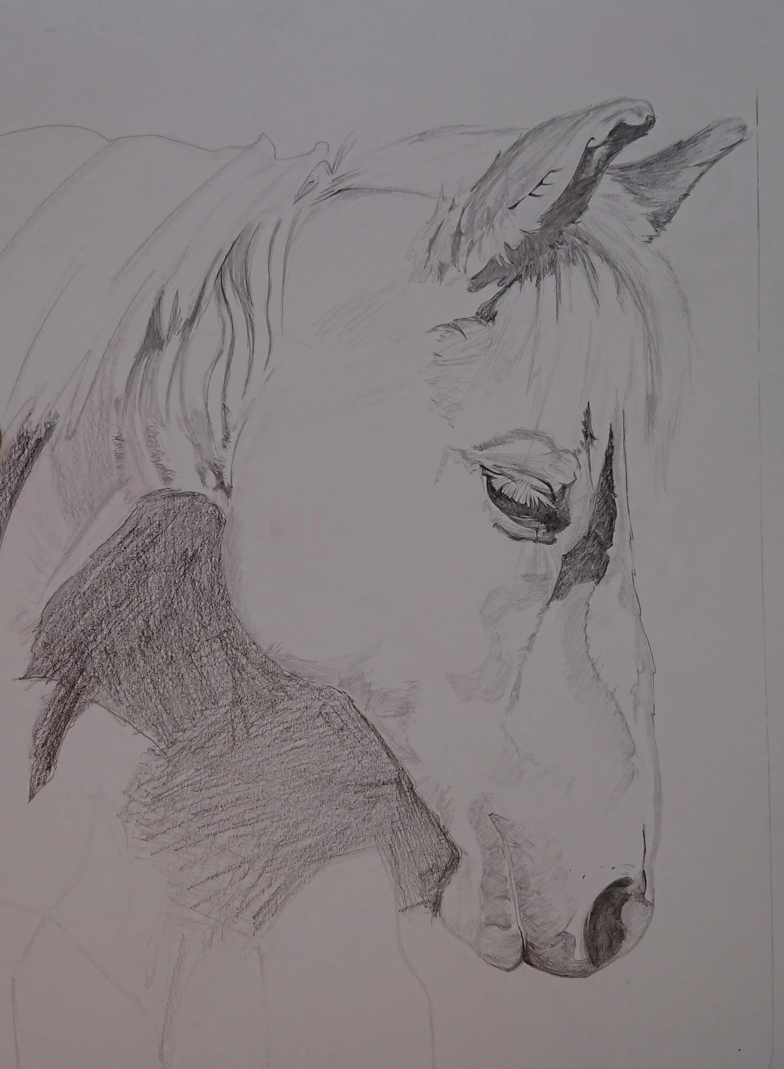 Tilly Pencil.jpg