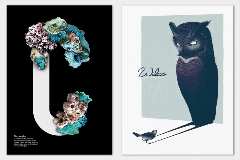 （圖片來源：Lucrezia Invernizzi Tettoni / Wilco）