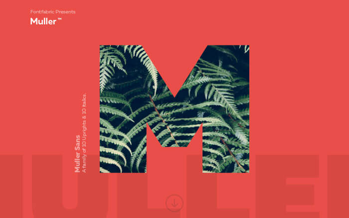 muller-typeface.jpg