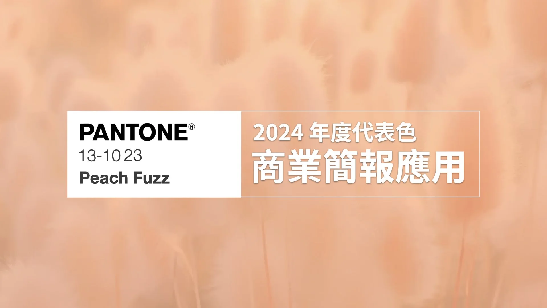 Pantone 2024 年度代表色:Peach Fuzz 在簡報設計中的應用