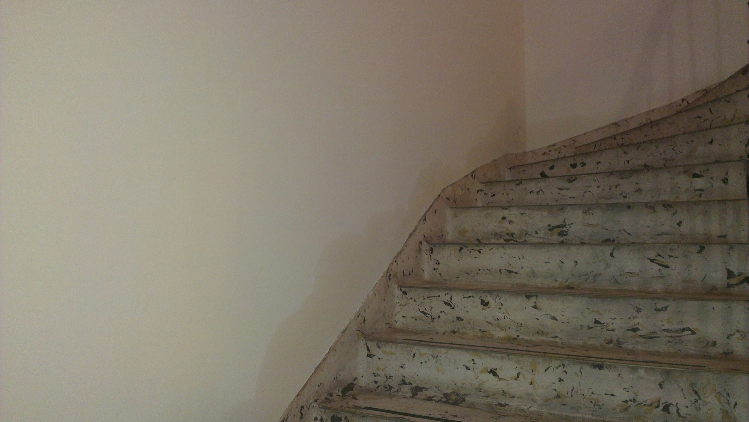 Damp Problems
