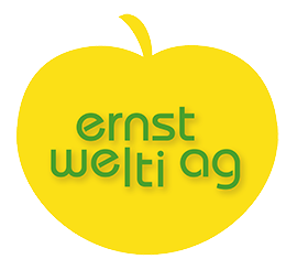 Welti Logo.png