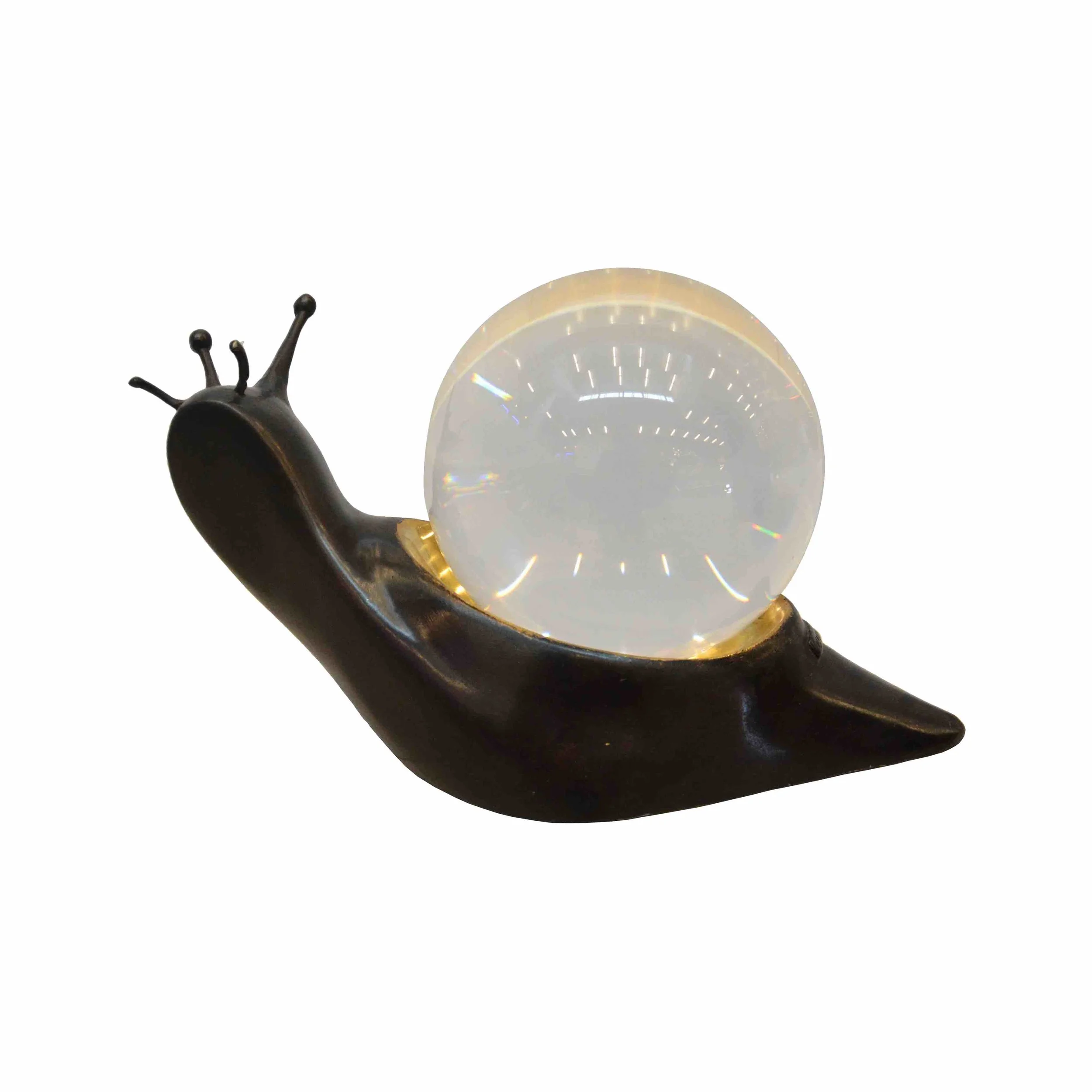 BIG SNAIL.jpg