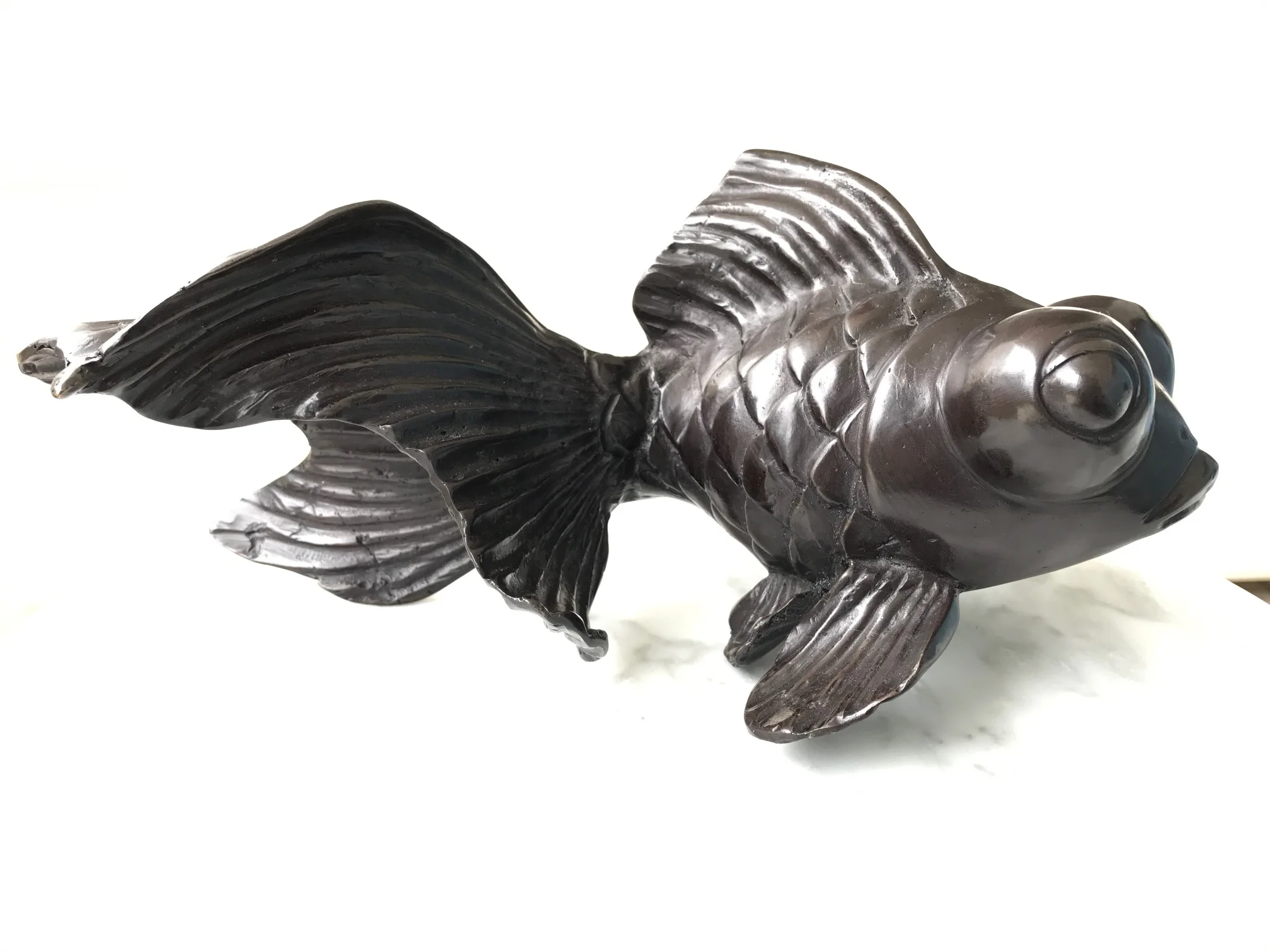 goldfish (2).JPG