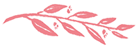 branch.png