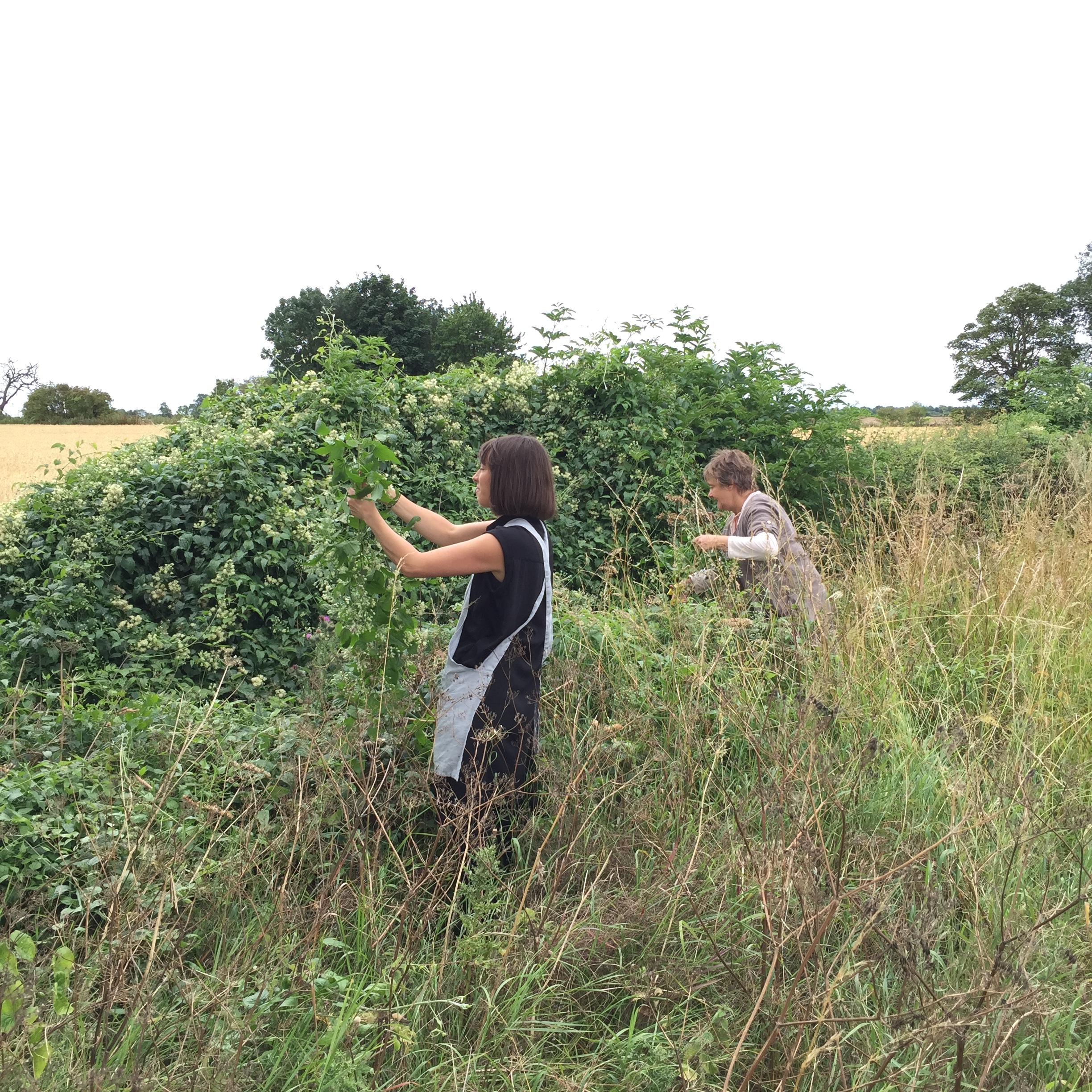 Sarah and Fiona foraging in the Cotswolds