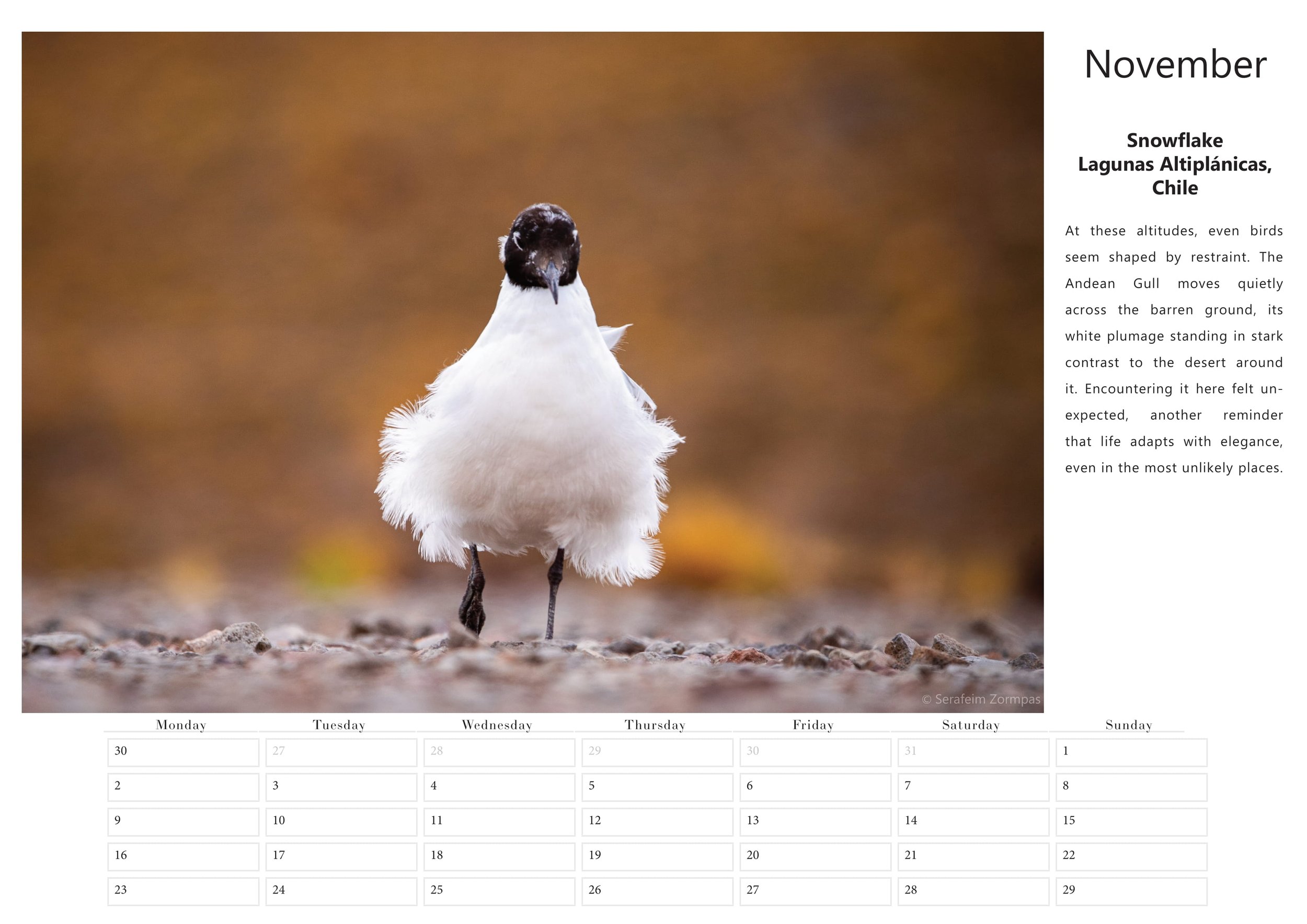 calendar-2026_12.jpg