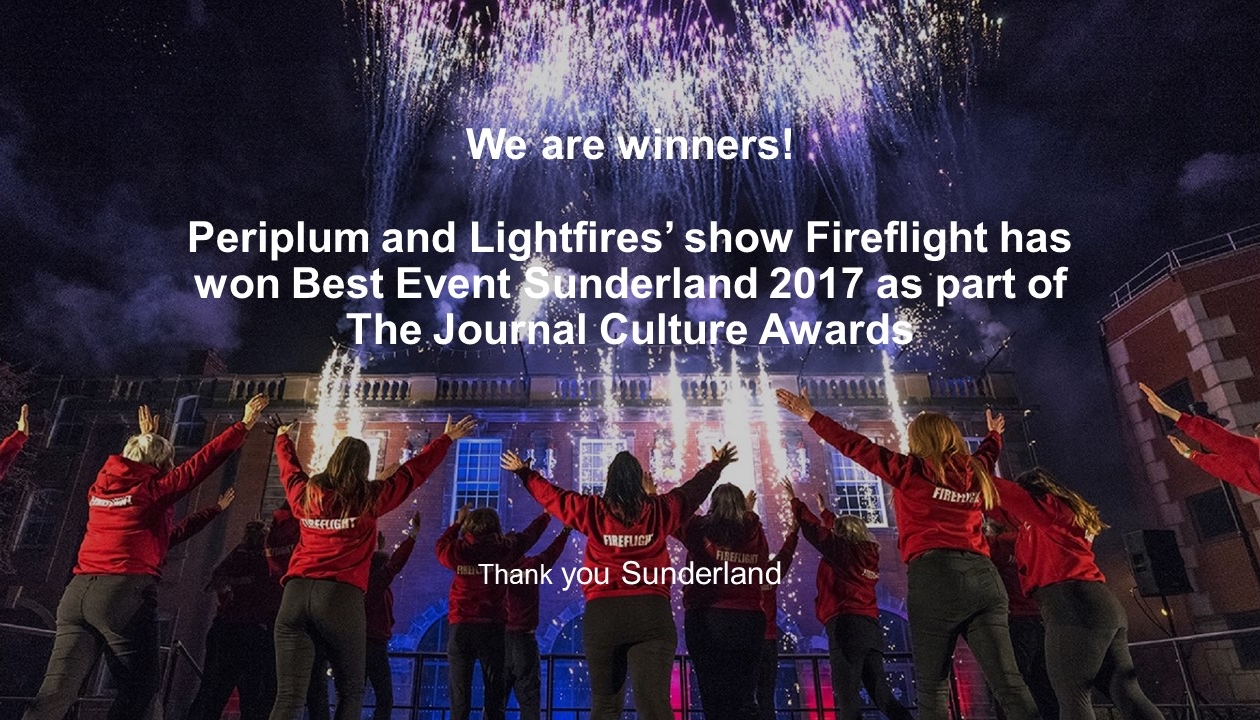 Fireflight3.jpg