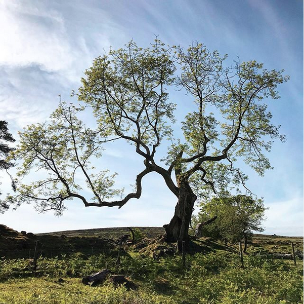 Coronavirus diary - 29 May 2020