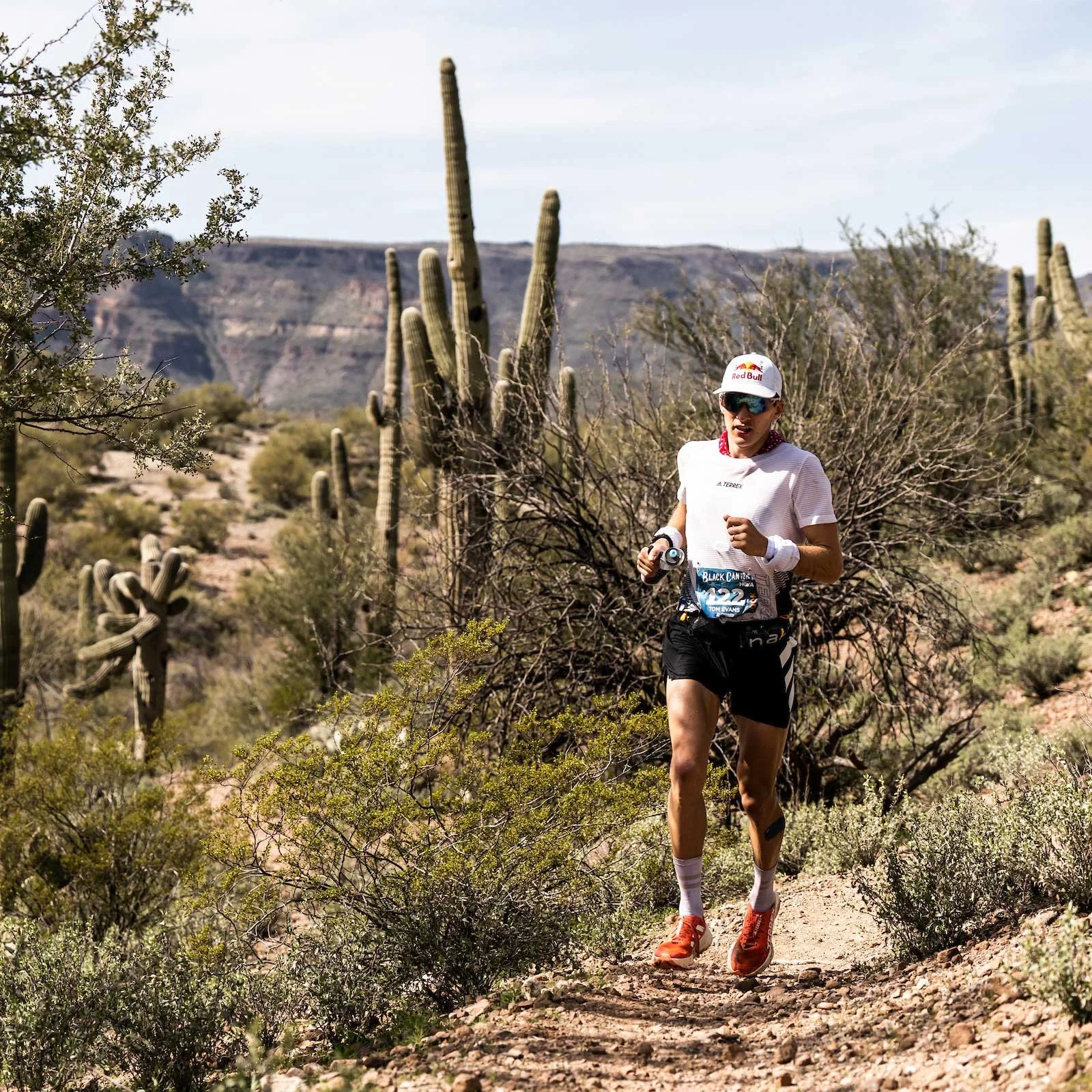 Episode 27: Interview with Tom Evans