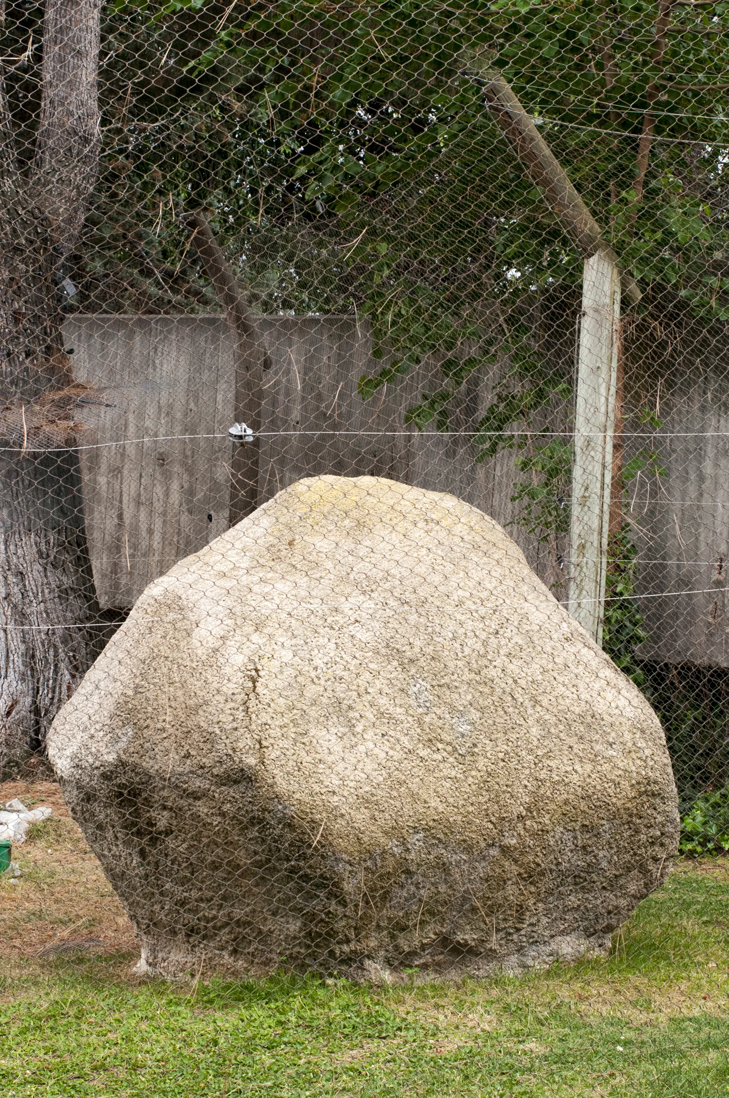 it-zoological-rock.jpg