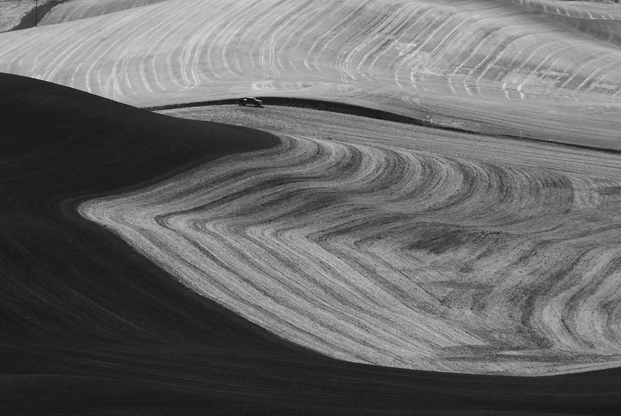 b&w DSC_0018-1.jpg
