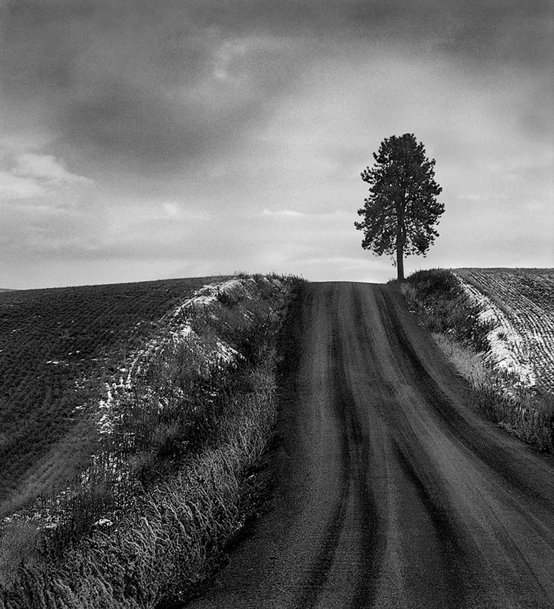 Best of Palouse and Asia 092 e jpeg.jpg