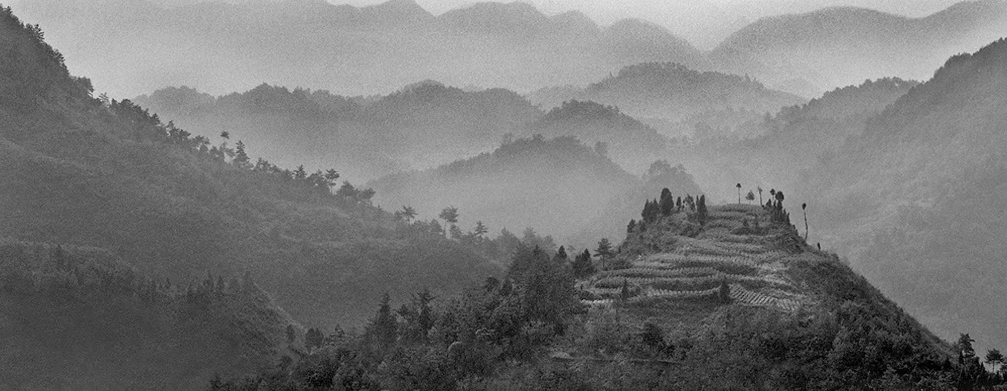 Alex Capri Hunan Province 1. jpg.jpg