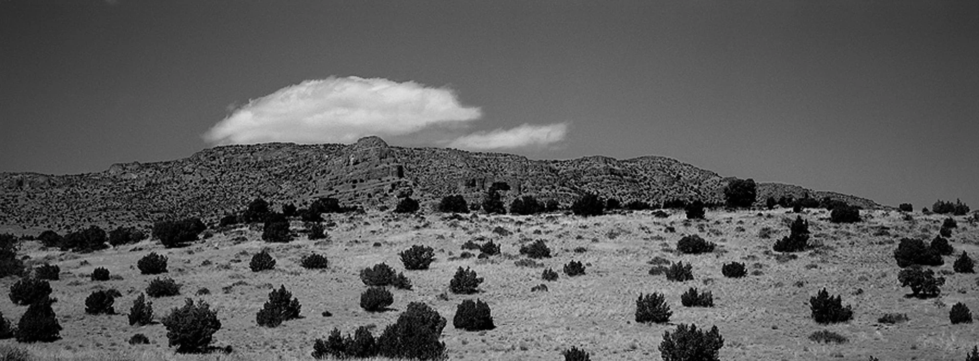 Sage Brush & Cloud copy.jpg