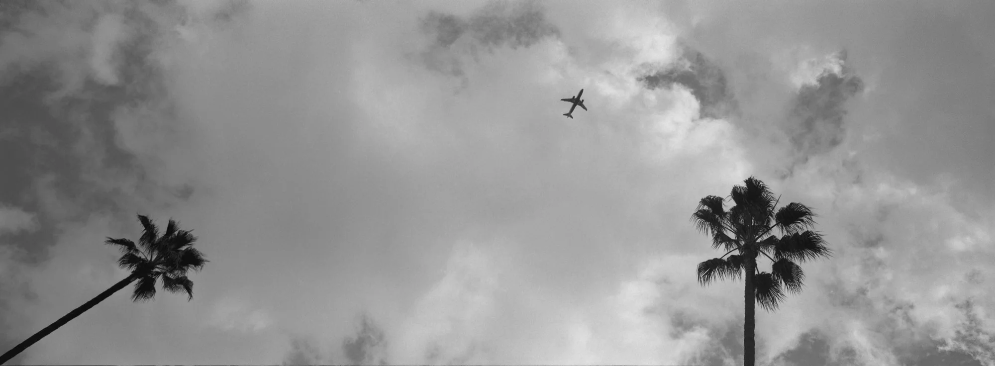 Skyward, Southern California.jpg