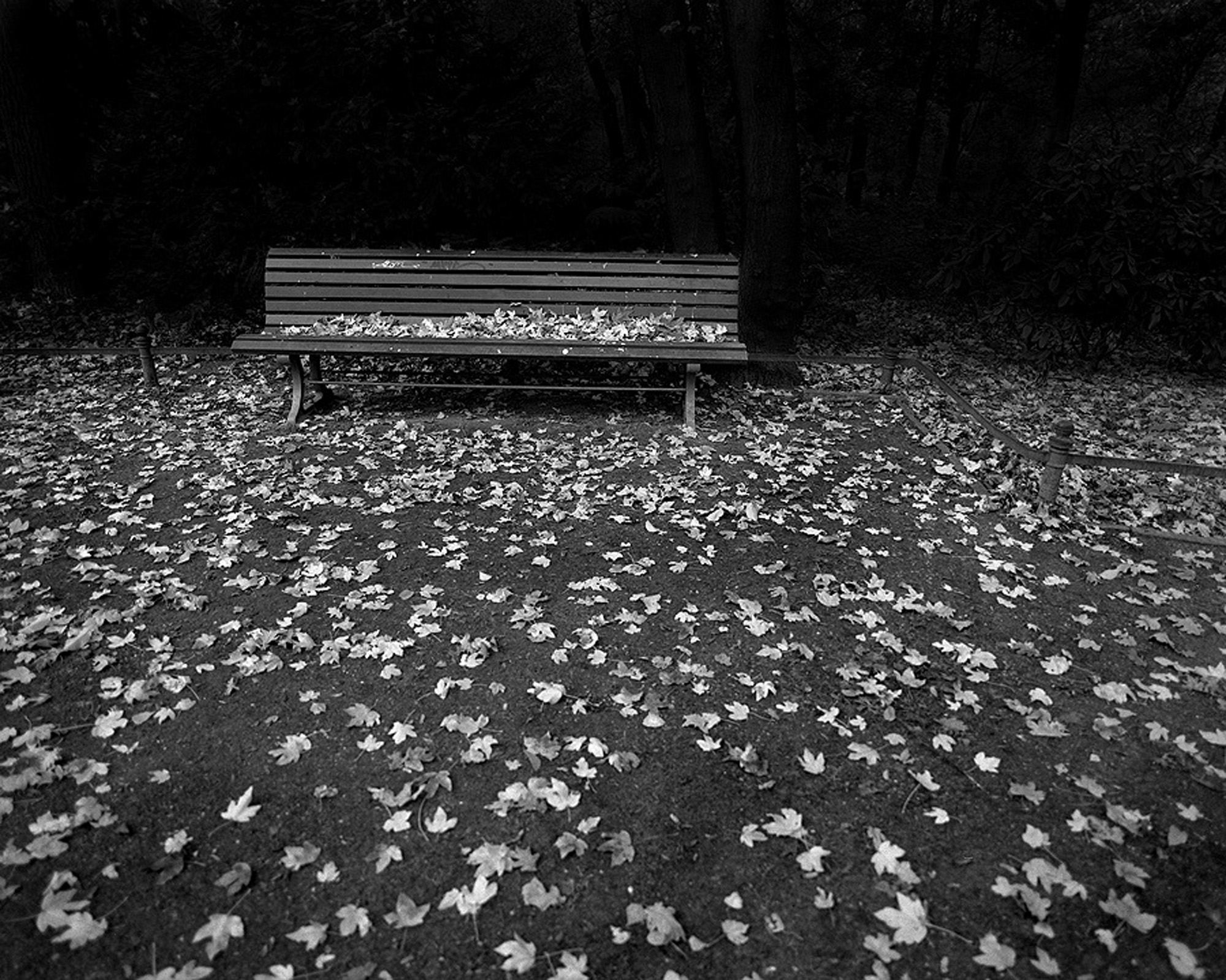 Park Bench, Berlin, 2006.jpg