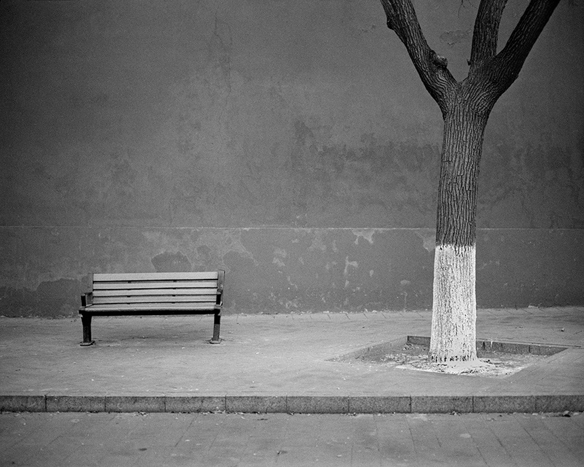 Tree and Bench, Beijing, 2011.jpg