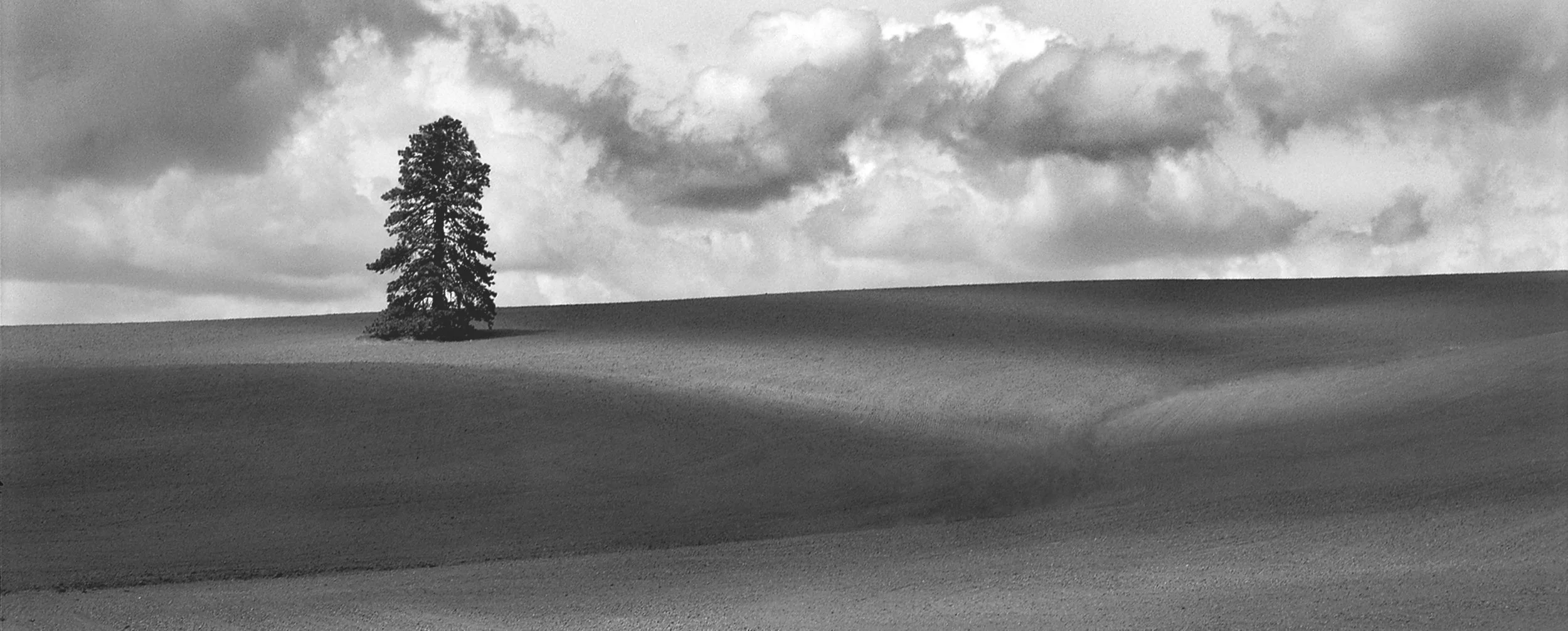 Best of Palouse and Asia 004b copy.jpg
