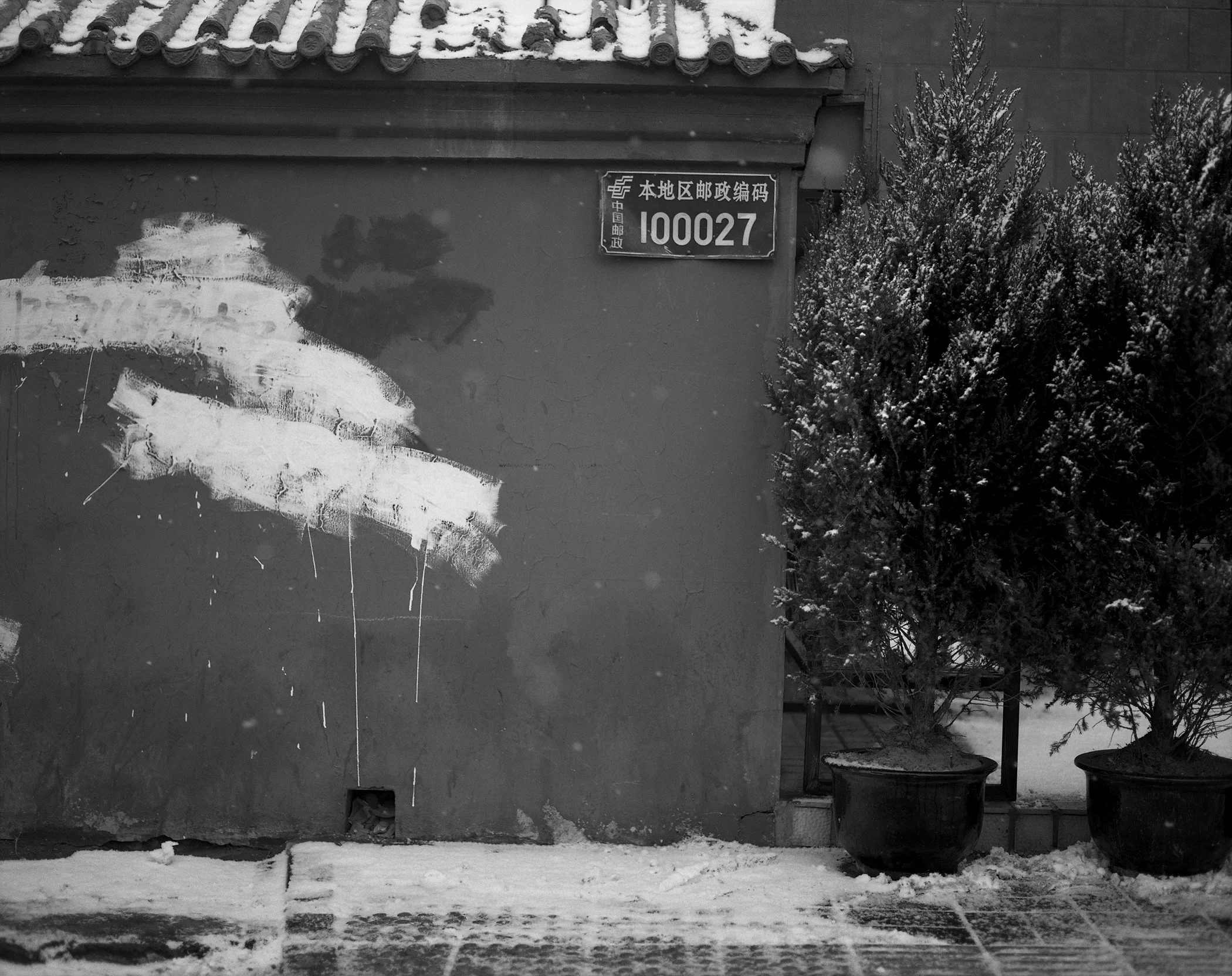 Wall and Trees Beijing copy.jpg