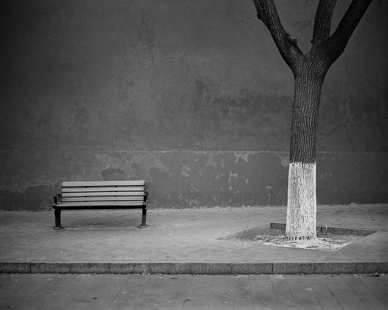 Alex Capri Beihei Park Bench 1 copy.jpg