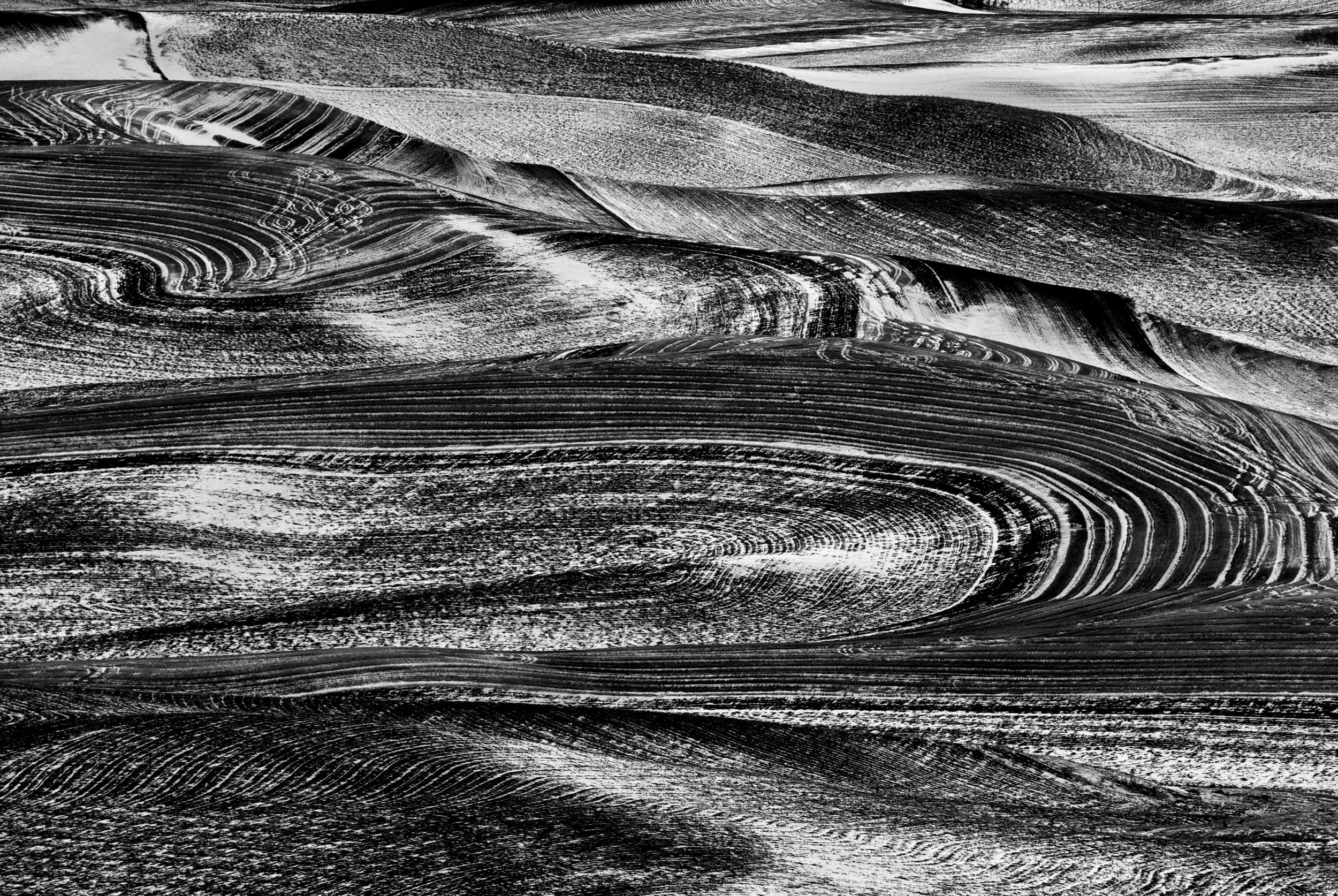 Hills and Swirls copy.jpg