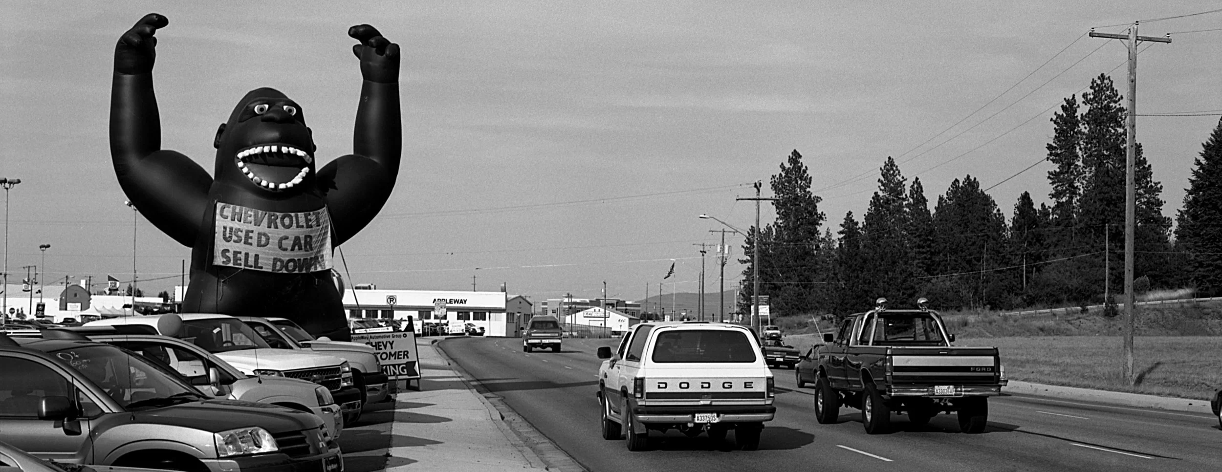 Gorilla Car Lot.jpg