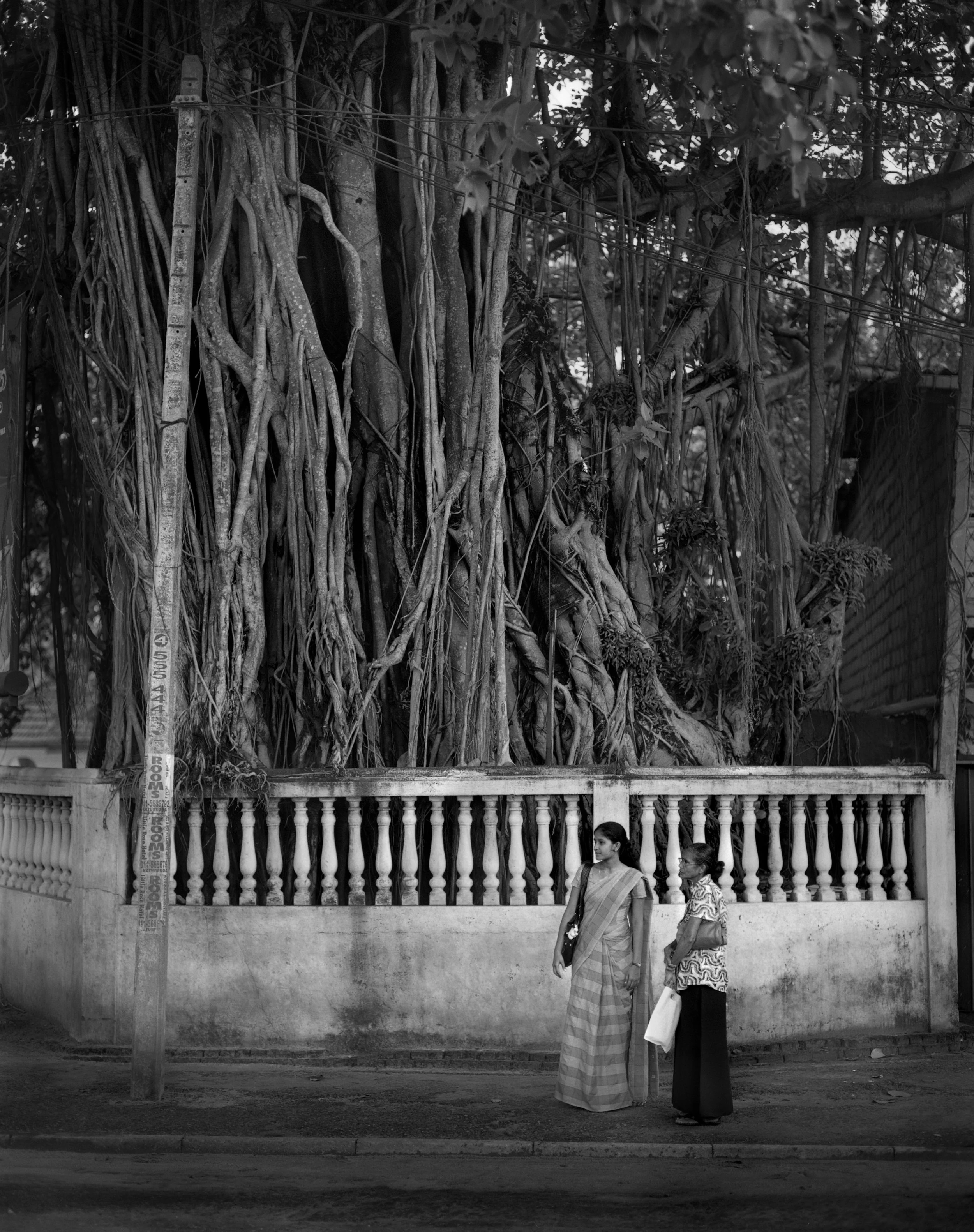 Sri Lanka Bus Stop.jpg