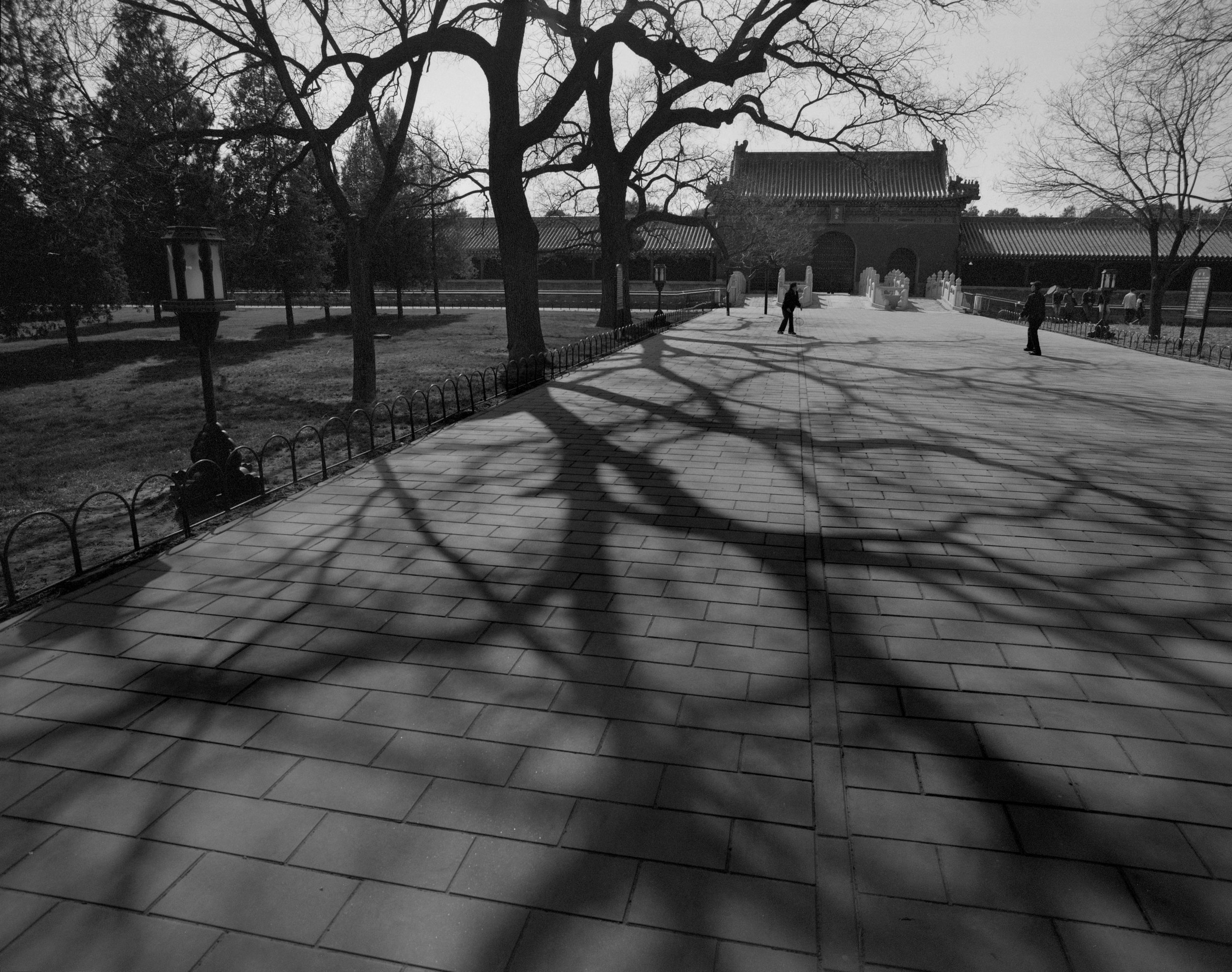 Beijing Sidewalk Shadows.jpg
