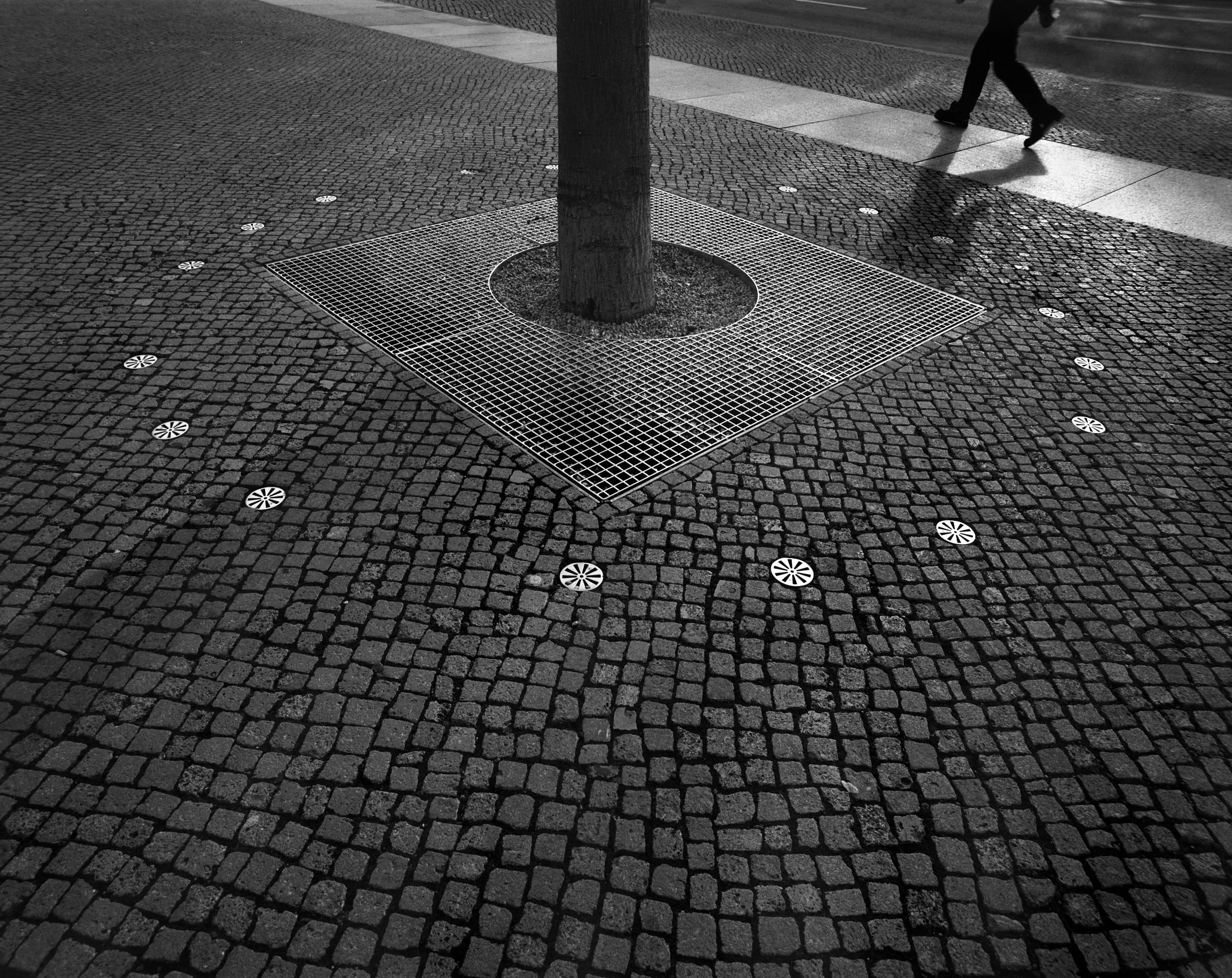 Tree & Pedestrian, Berlin copy.jpg