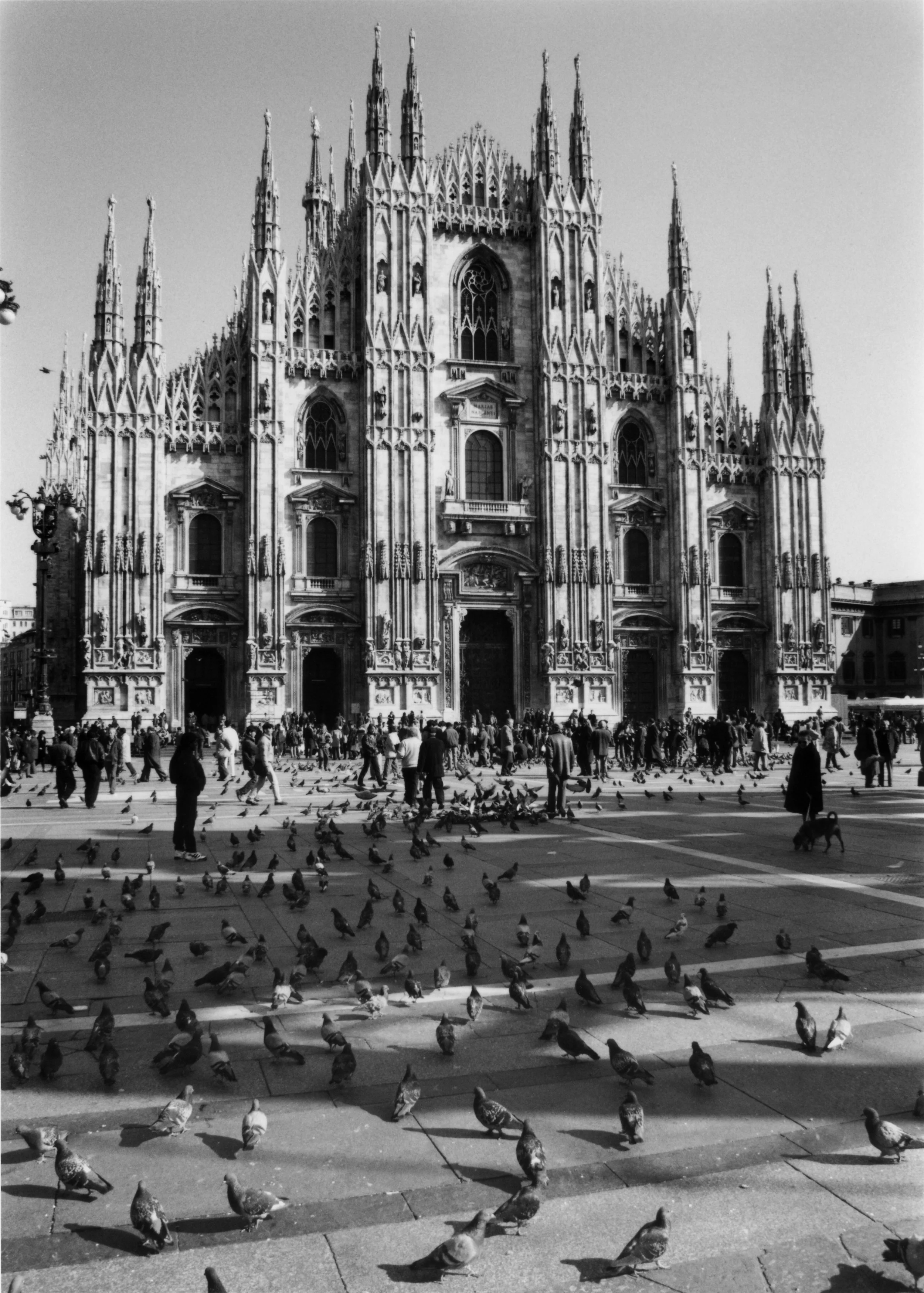 Milan Cathedral copy 2.jpg