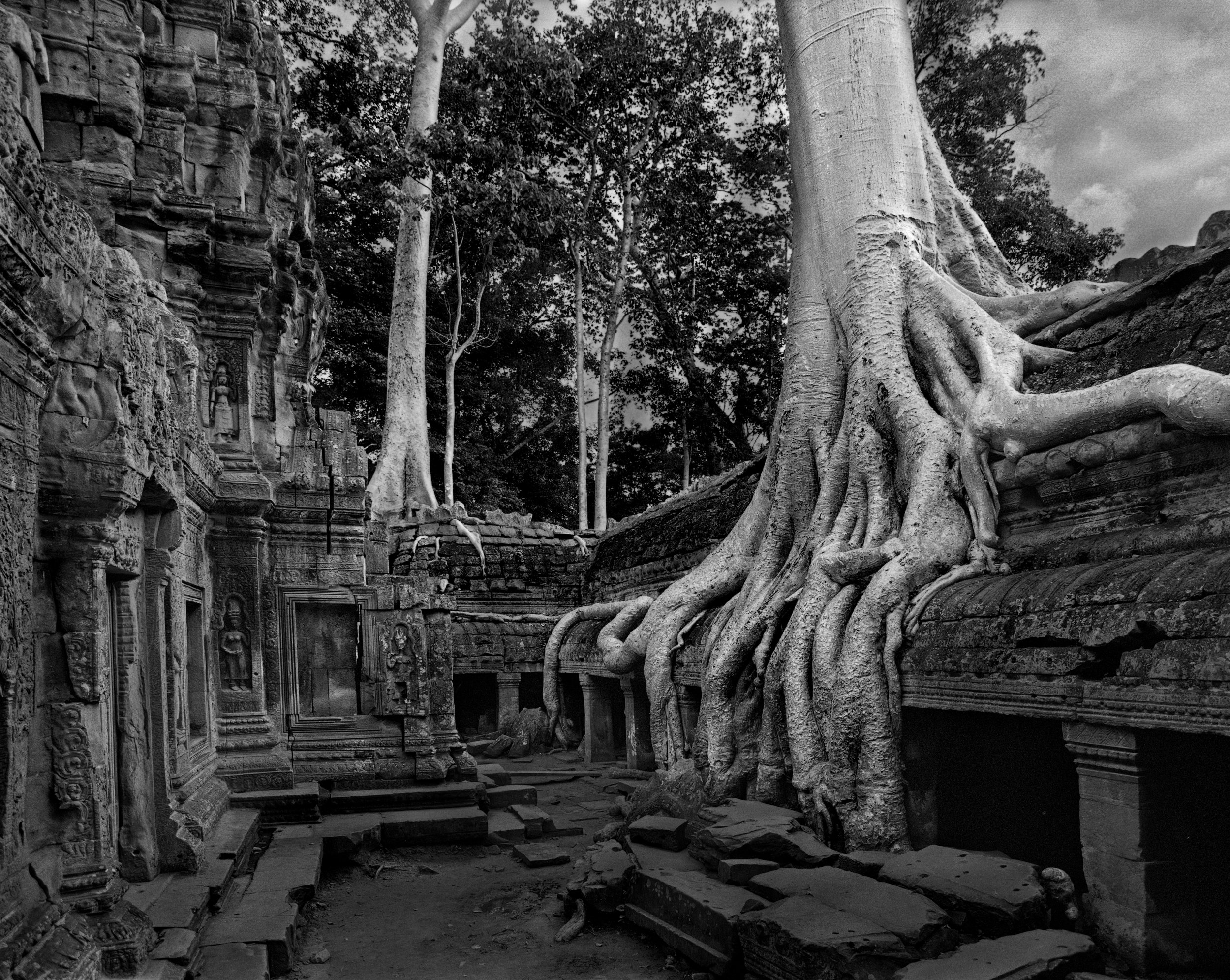 Trees and Ruins copy Keeper.jpg