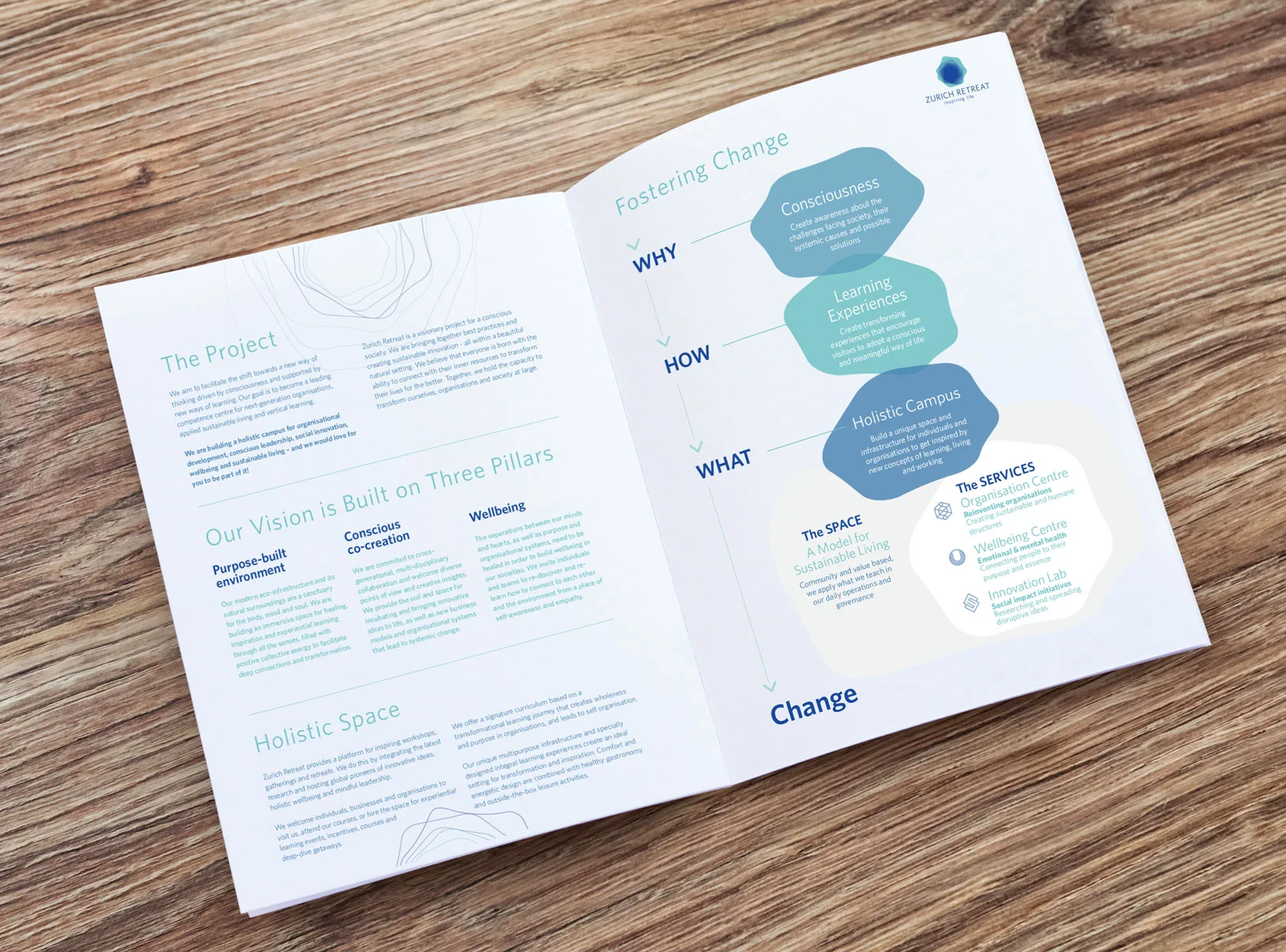 Editorial Design. Brochure and infographic