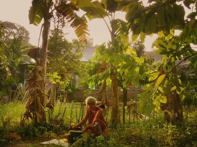 Dogwoof films win at the 2015 IDA Awards!