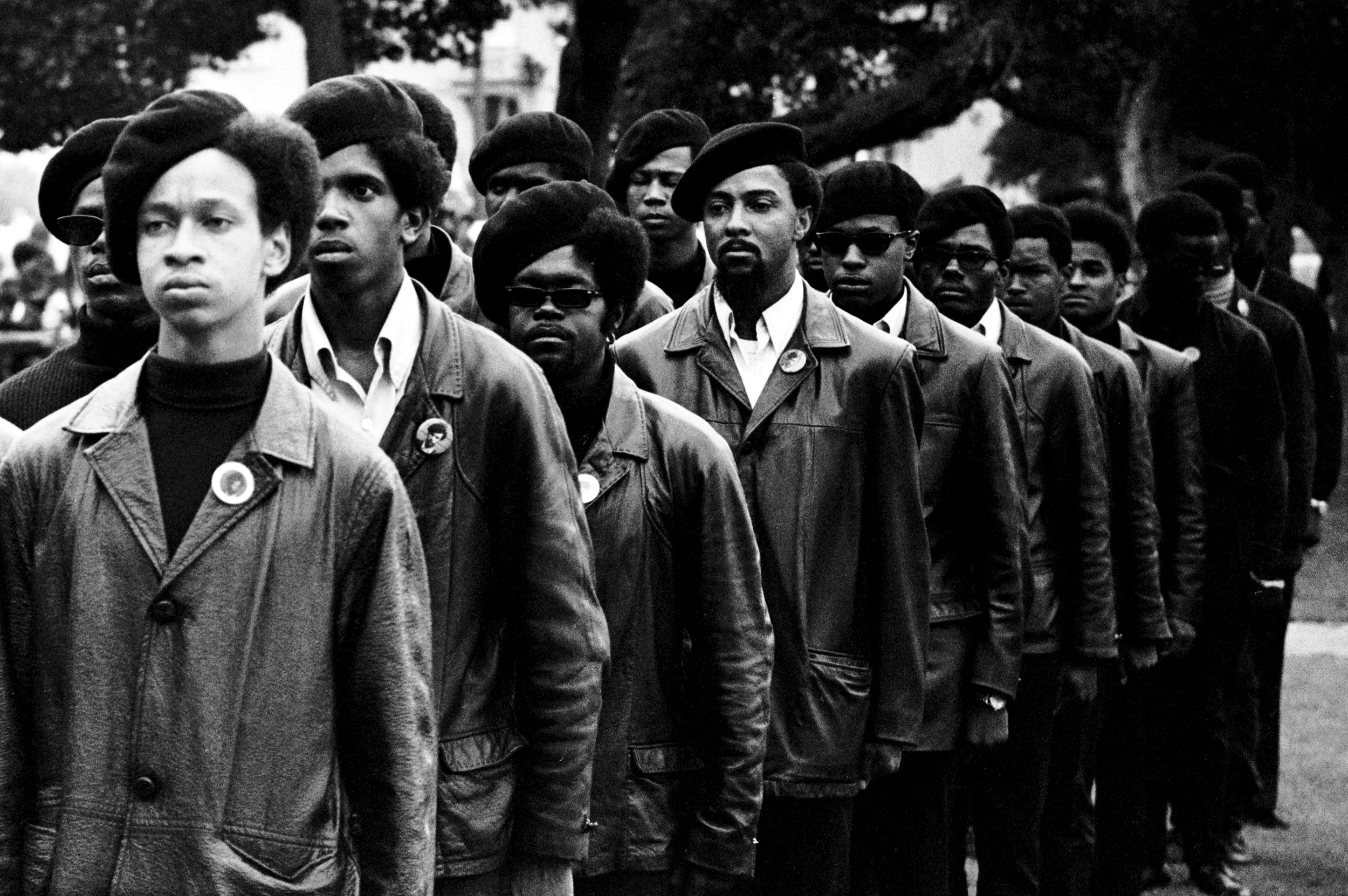 The Black Panthers DVD available 11 January
