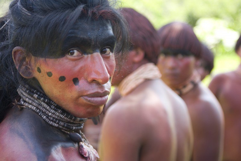 Even_the_Rain_Dogwoof-_Hatuey_close-up__MG_5739_copy_800_533_85.jpg